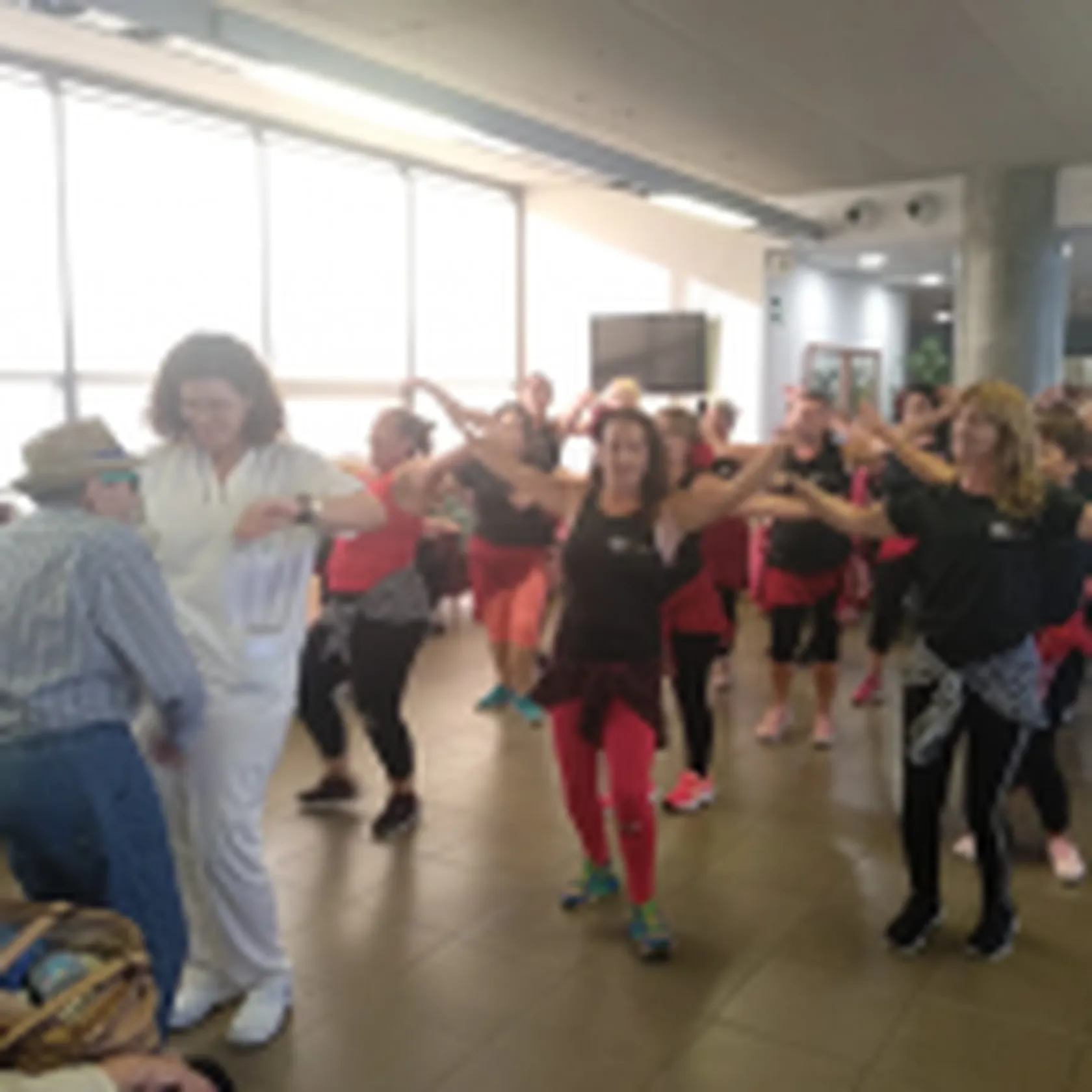 flamenco4-150x150.png