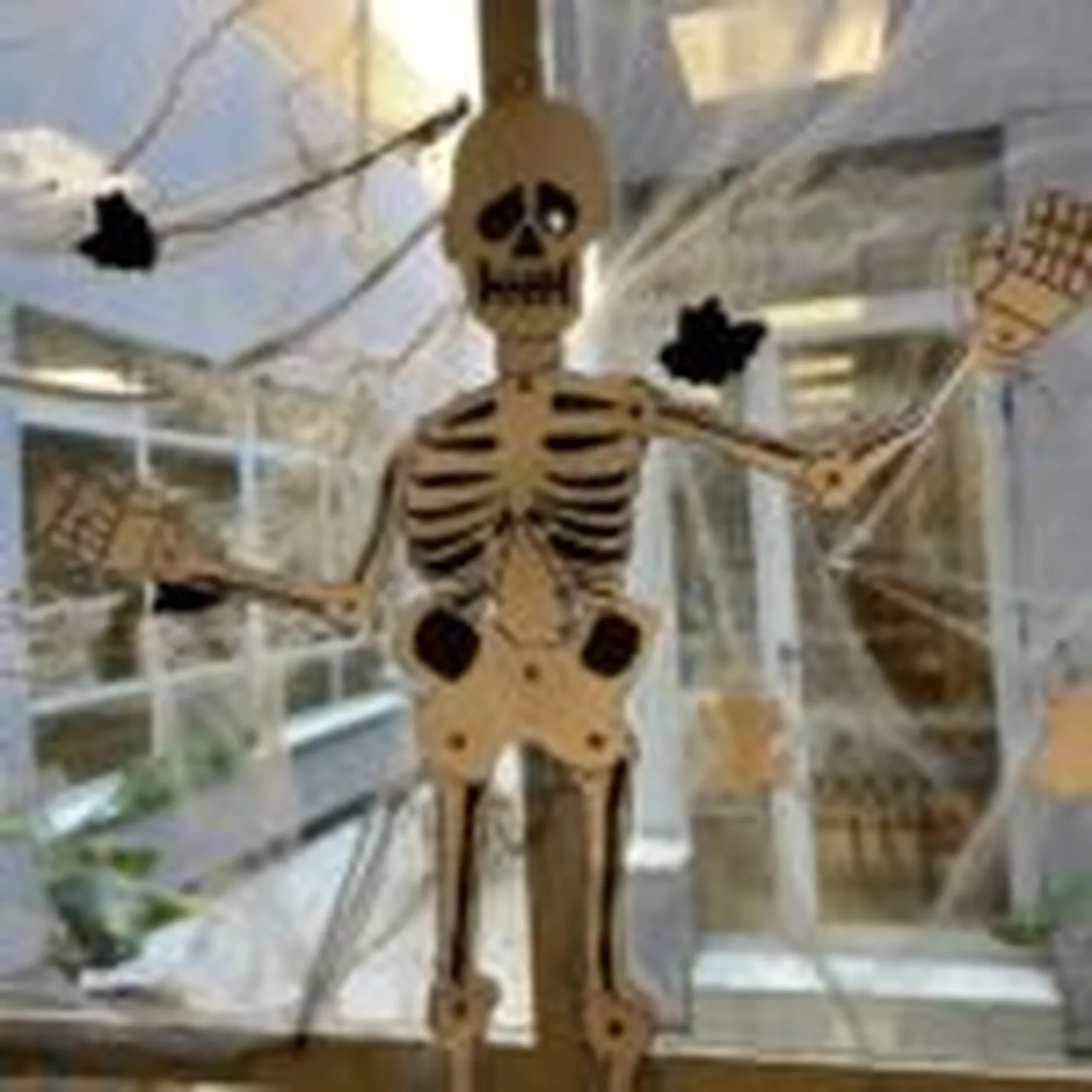 DomusVi-Valdemoro-halloween-13-150x150.jpg