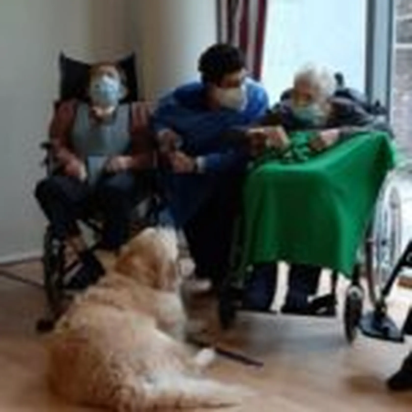 Terapia-de-Perros-Carmen-Clavero-150x150.jpg