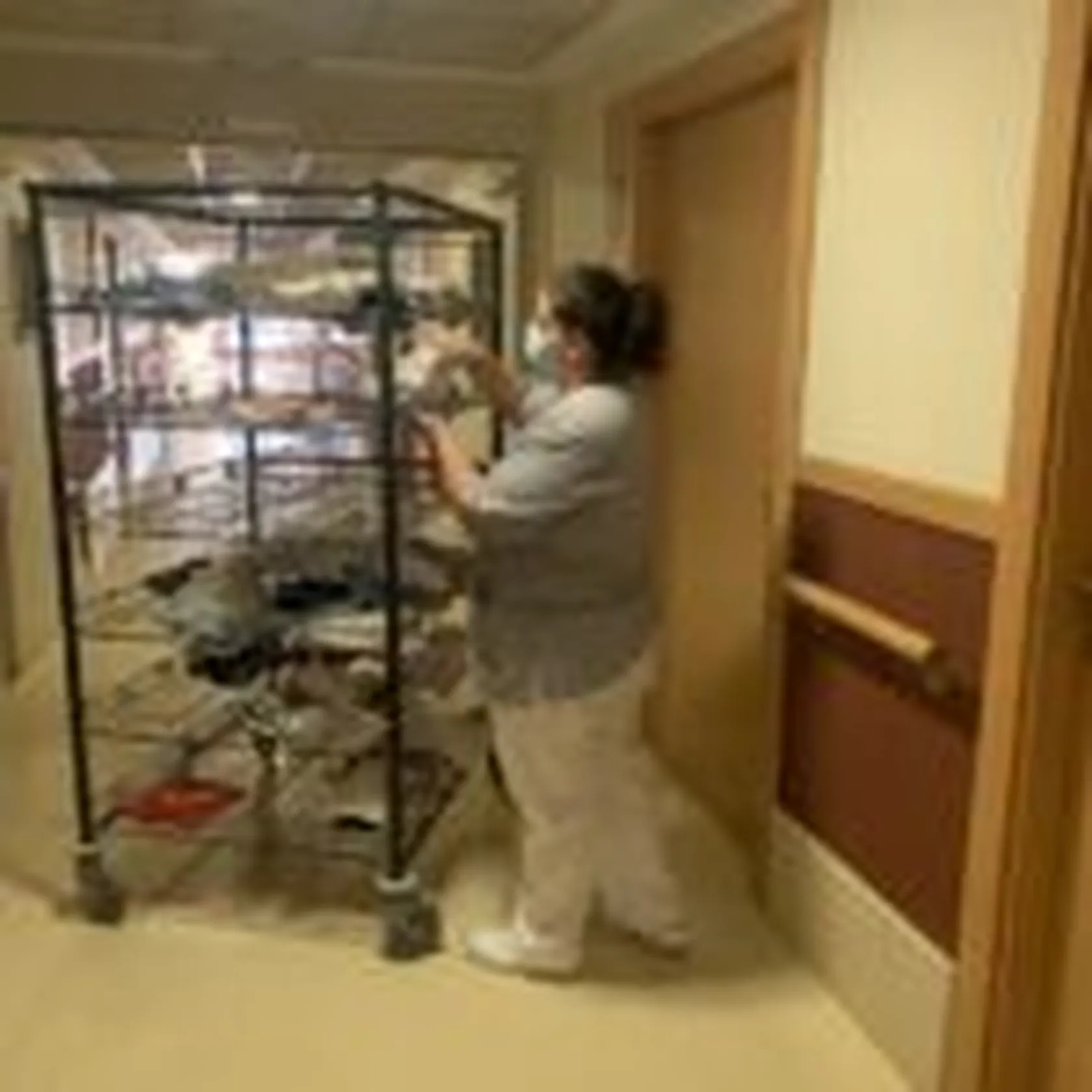 thumbnail_IMG_6928-150x150.jpg