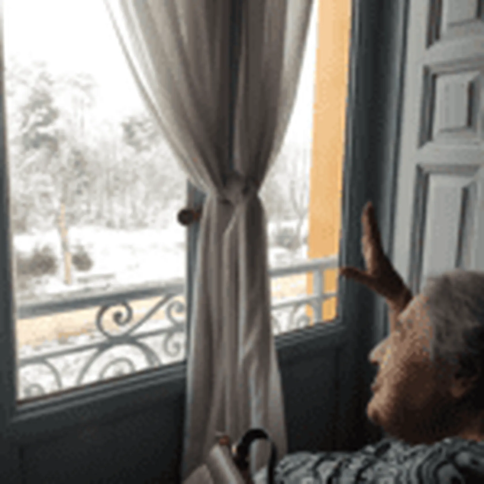 nieve2-1-150x150.png