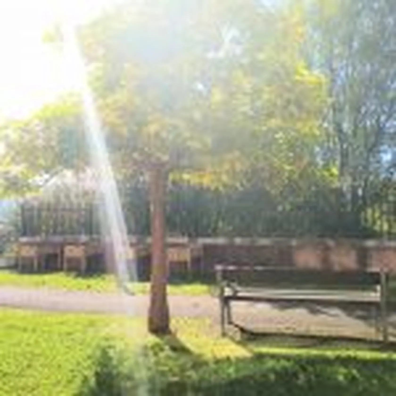 IMG-20191011-WA0007-150x150.jpg