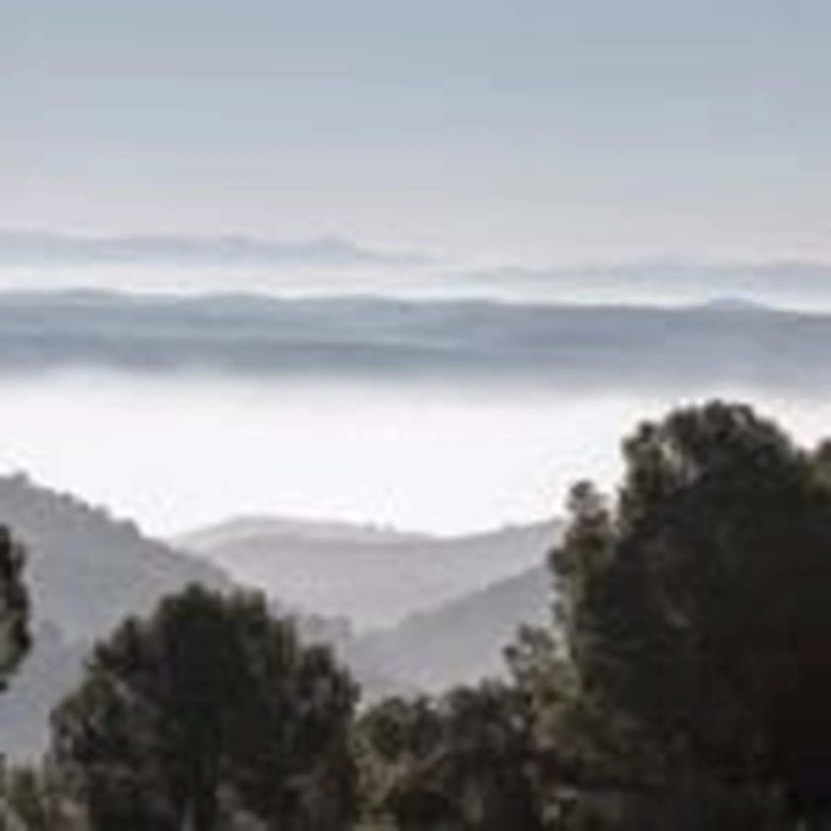 thumbnail_1-150x150.jpg