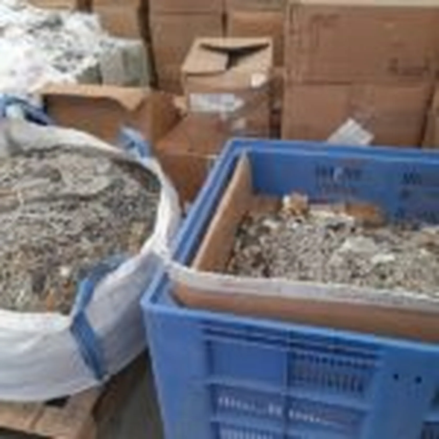 MATOGRANDE-INSERTEGA-2-150x150.jpg