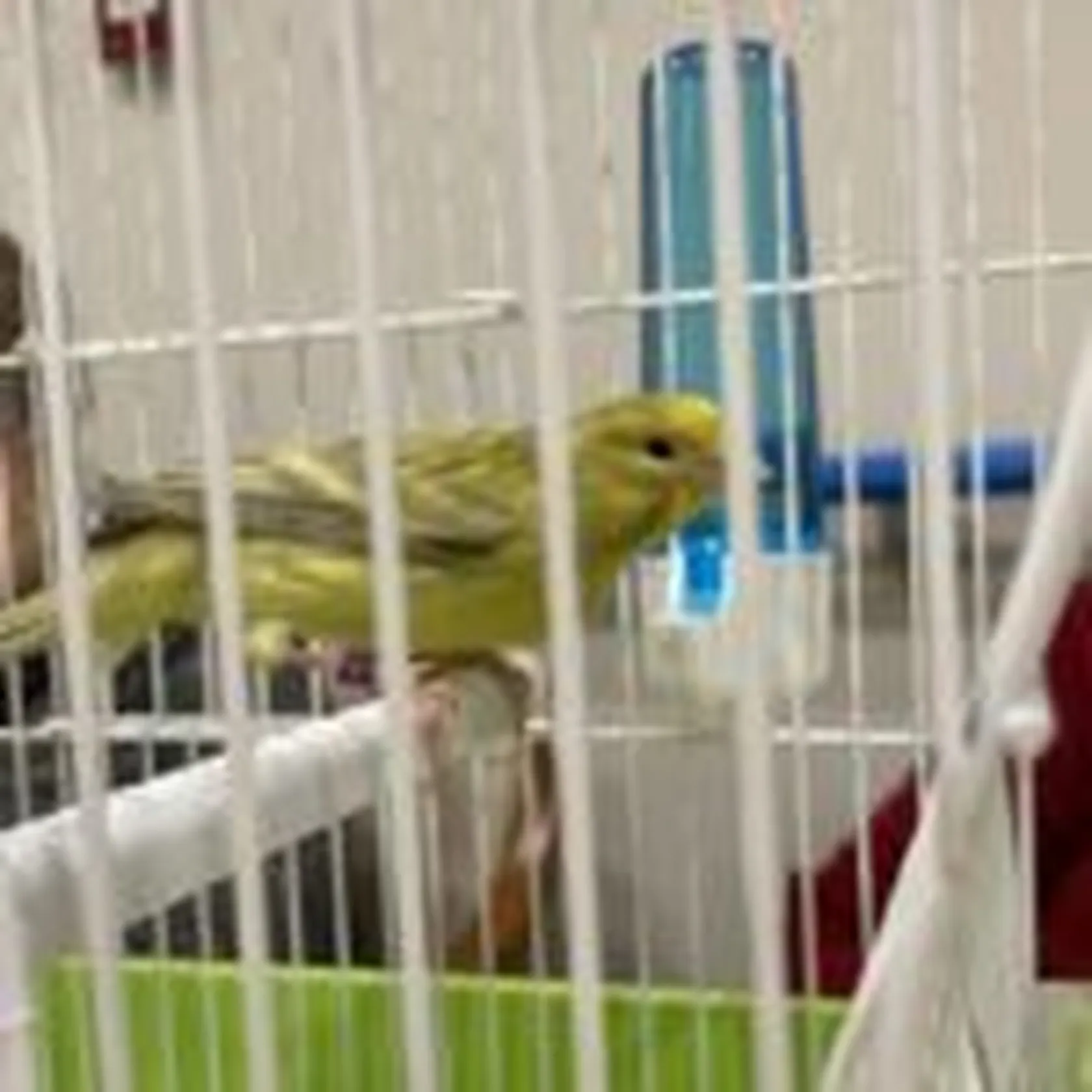 IMG_0027-150x150.jpeg