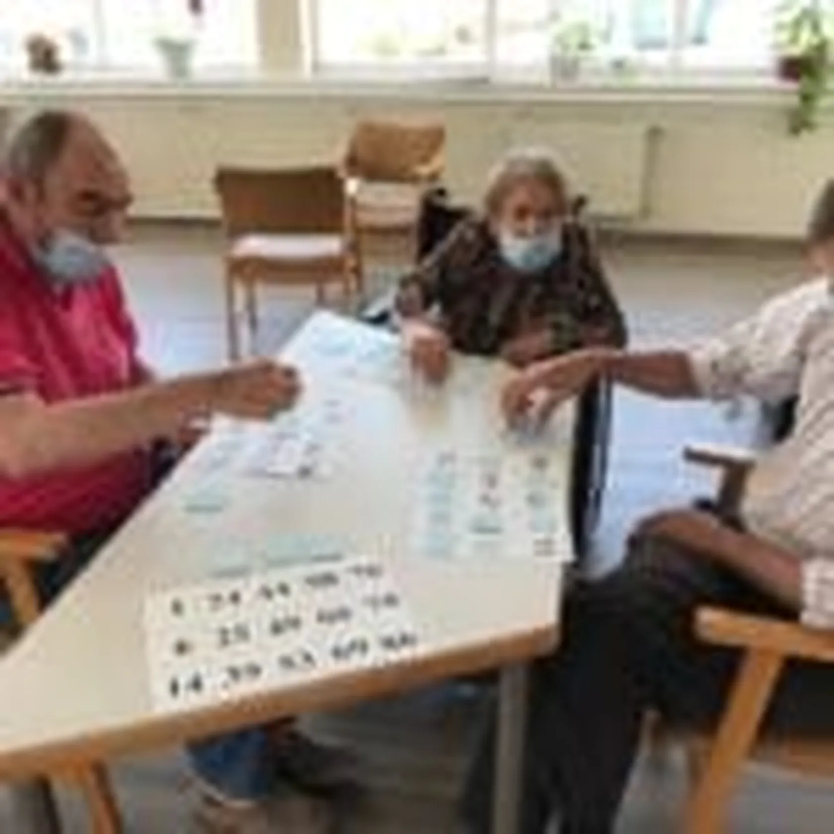 bingo-0-150x150.jpg