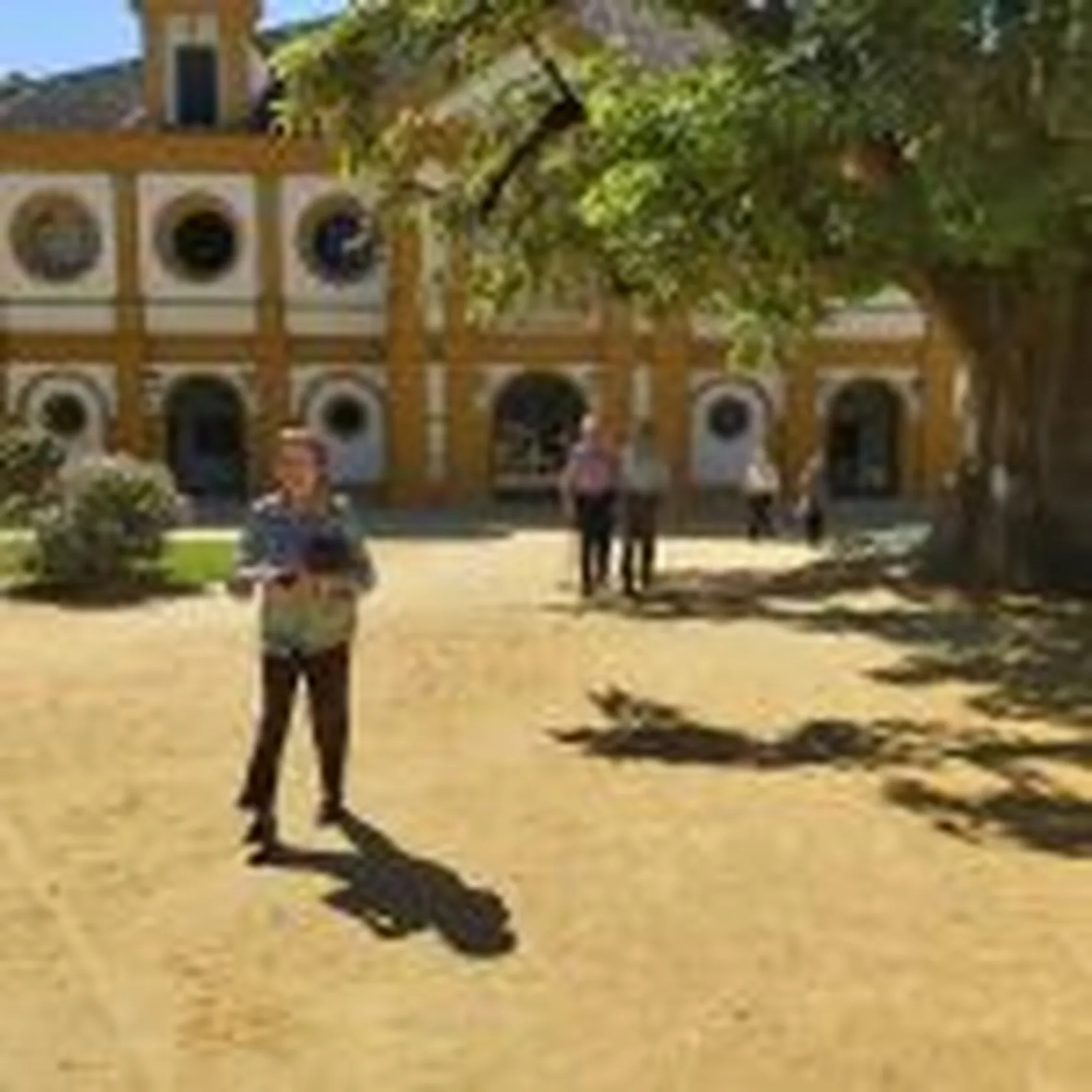 caballo-ma-10-150x150.jpg
