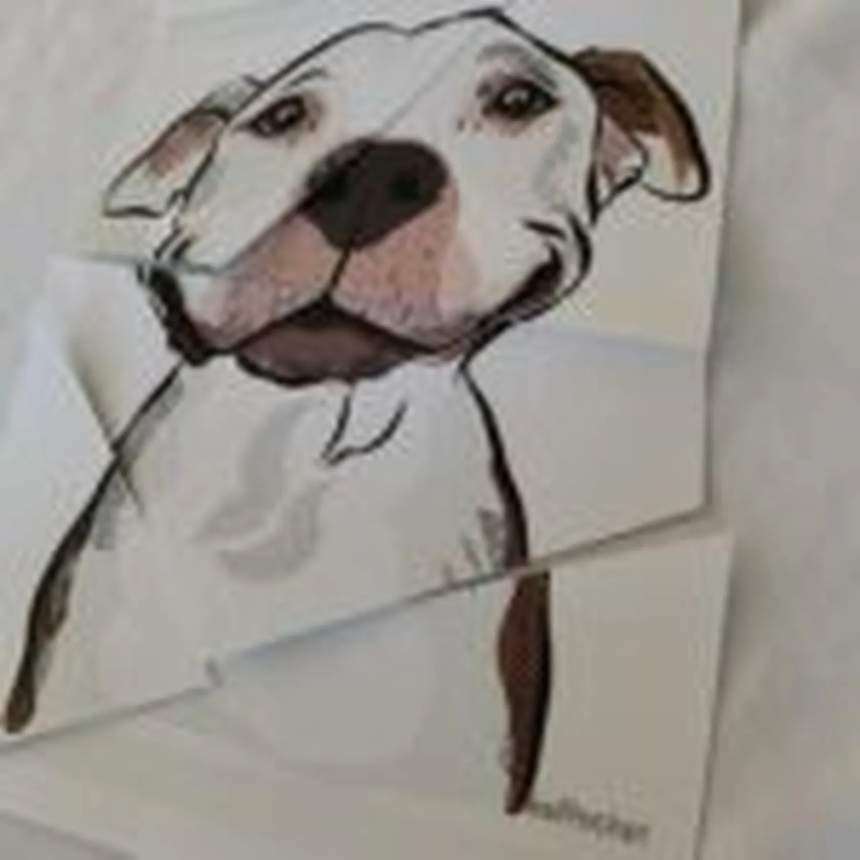 IMG_20220721_110028-150x150.jpg
