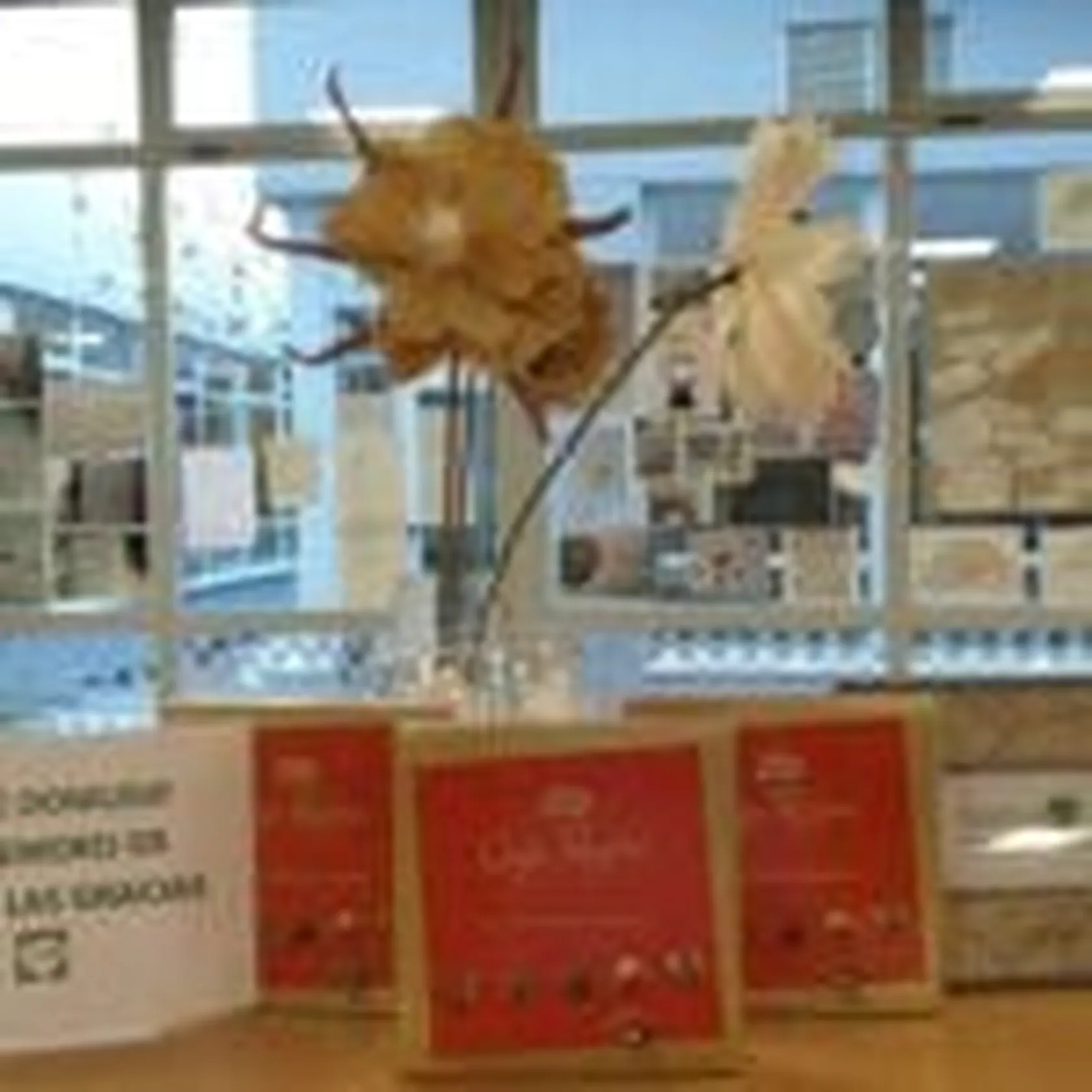 DomusVi-Valdemoro-regalos-a-personal-de-las-familias-2-150x150.jpeg