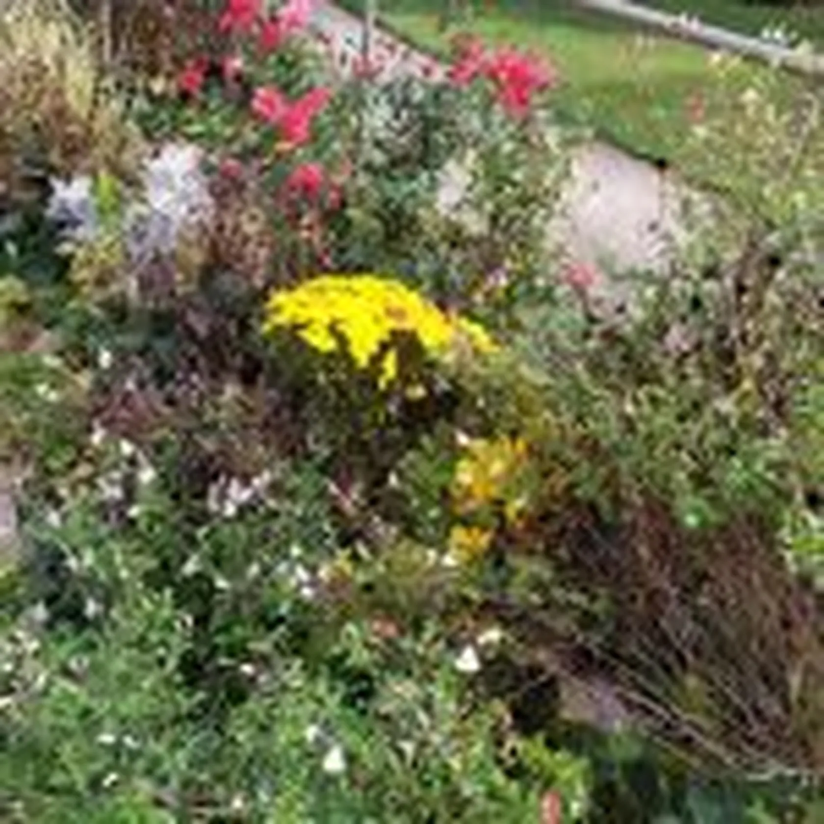 IMG_20191115_123317-150x150.jpg