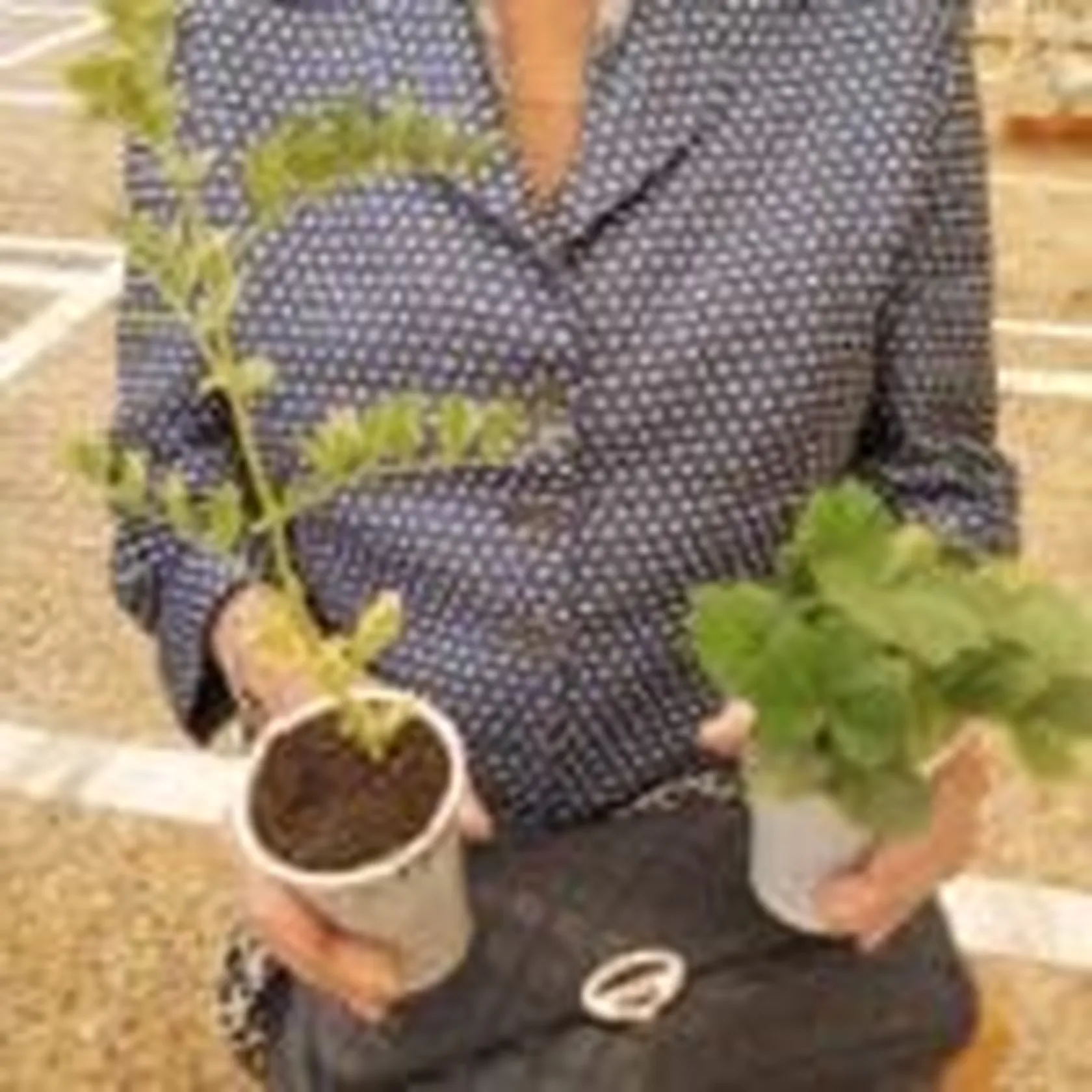 huerta-montealto4-150x150.jpg