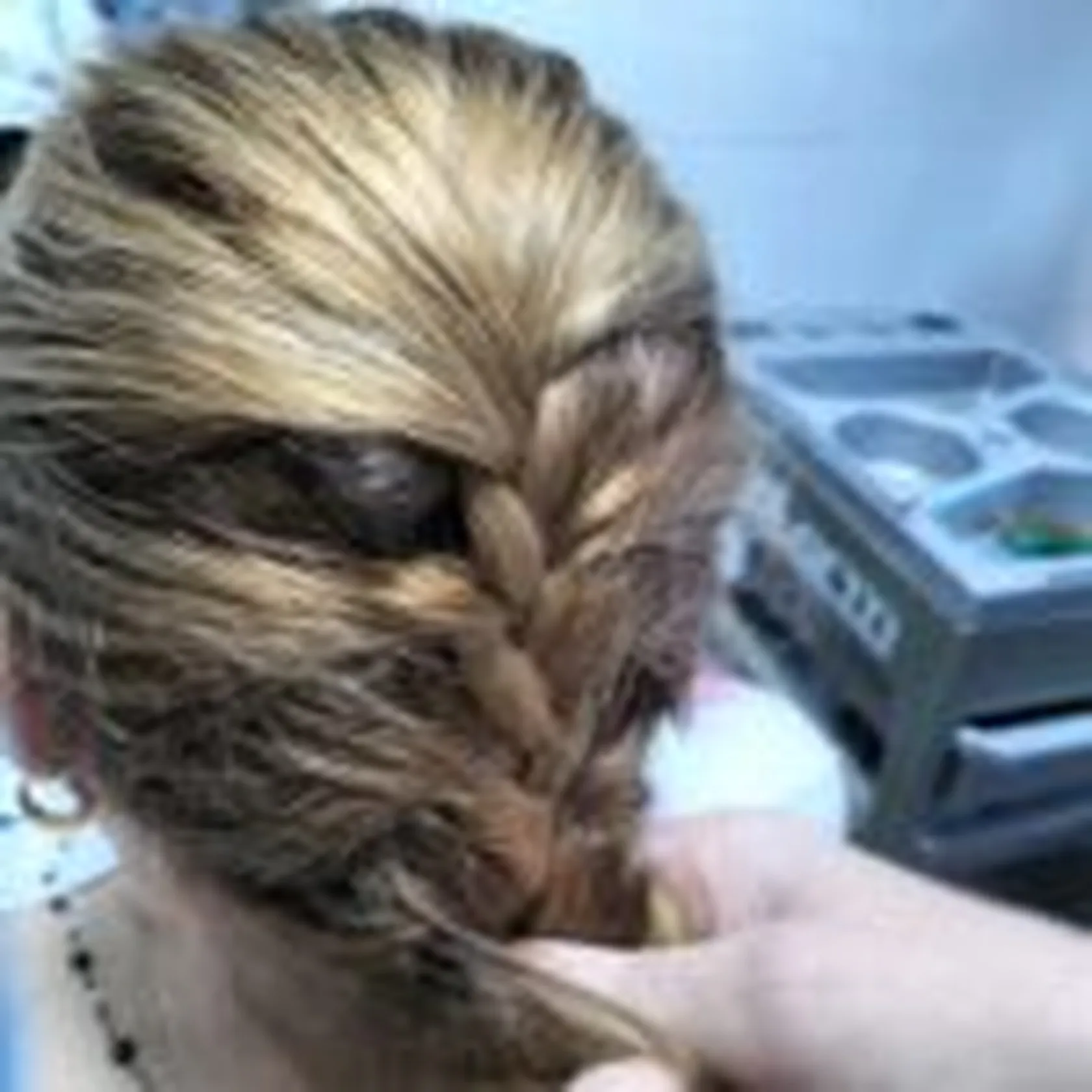 1661510485197-min-150x150.jpg
