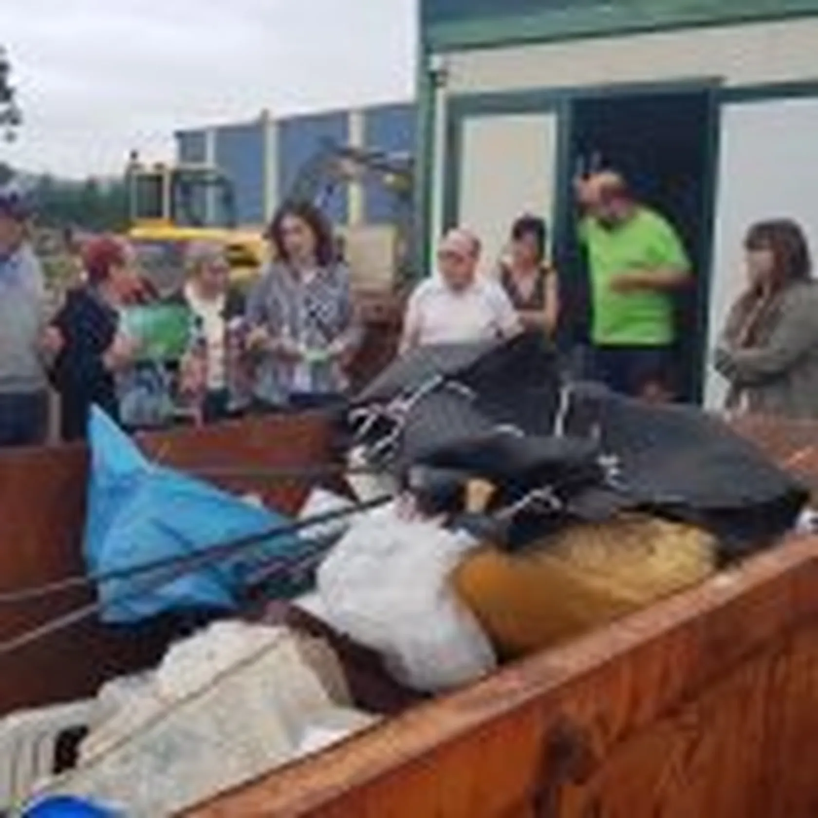 20190626_115506-150x150.jpg