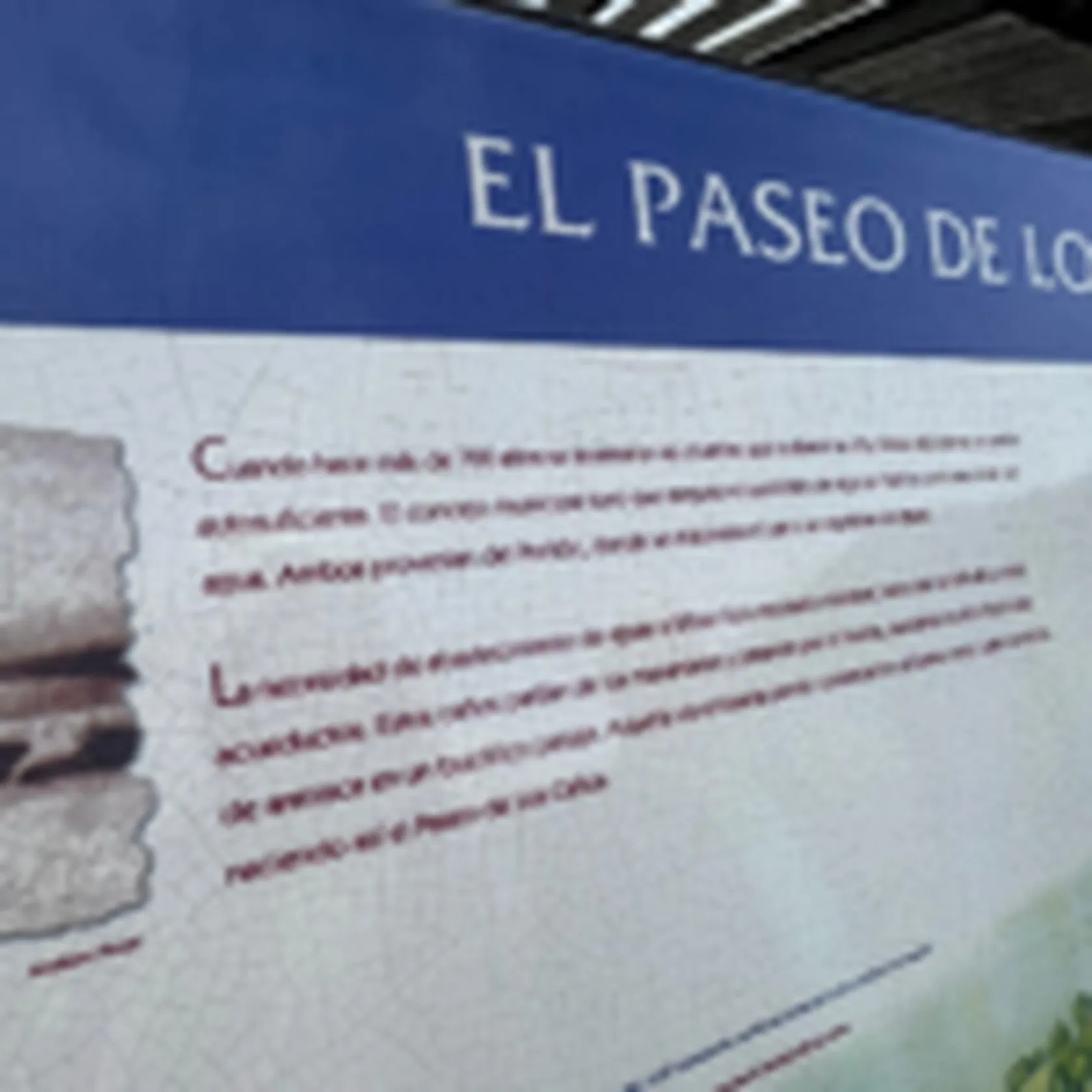 el-paseo-de-los-canos-150x150.png