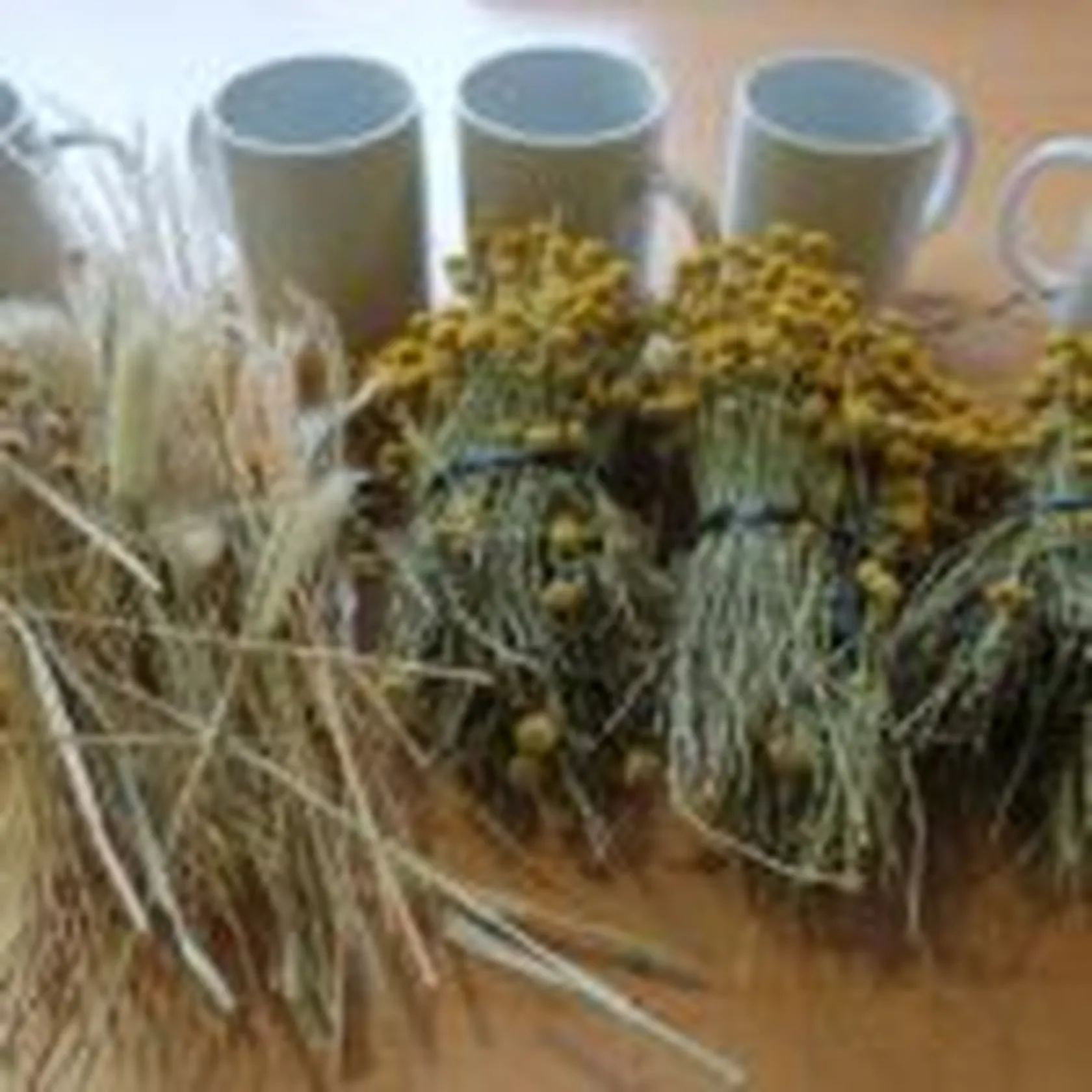 Taller-de-flores-en-taza-DomusVi-Santa-Pola-2-150x150.jpg