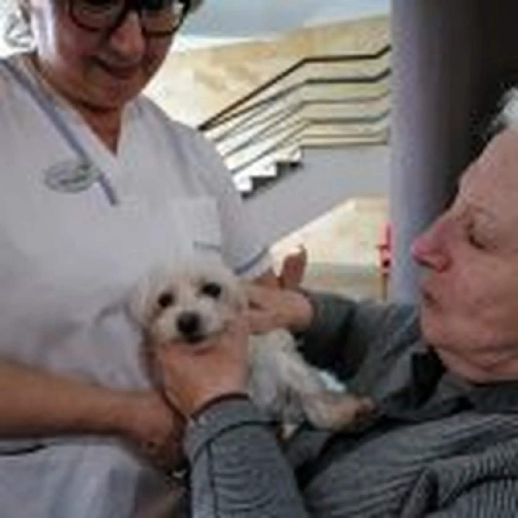 Actividades-Con-AnimalesDomusViLugo.3-150x150.jpg
