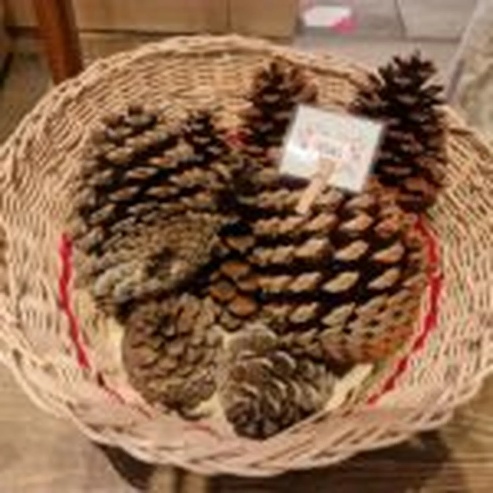 ROUPAXE-MATOGRANDE-8-150x150.jpg