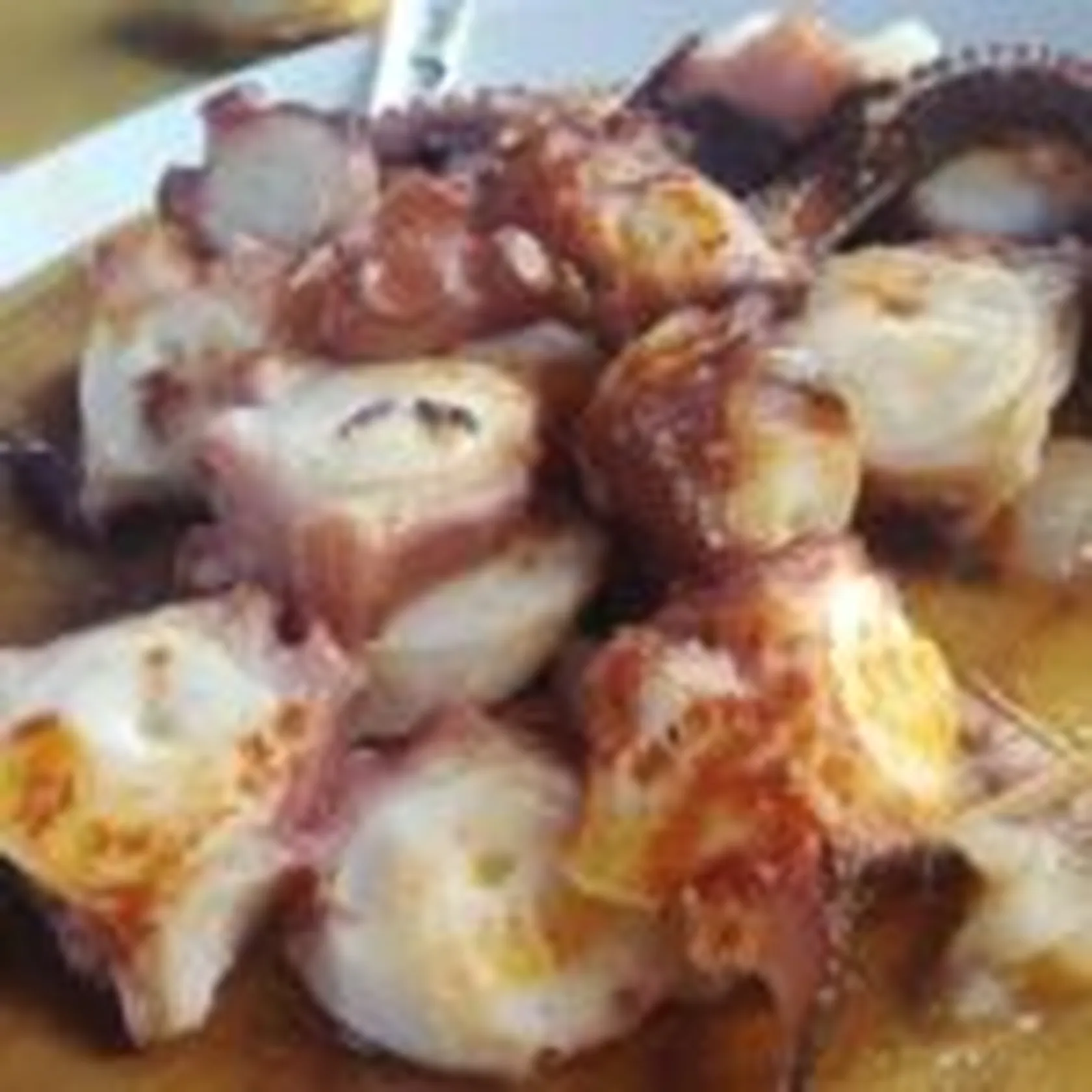 DomusViLugoFeira4-150x150.jpg
