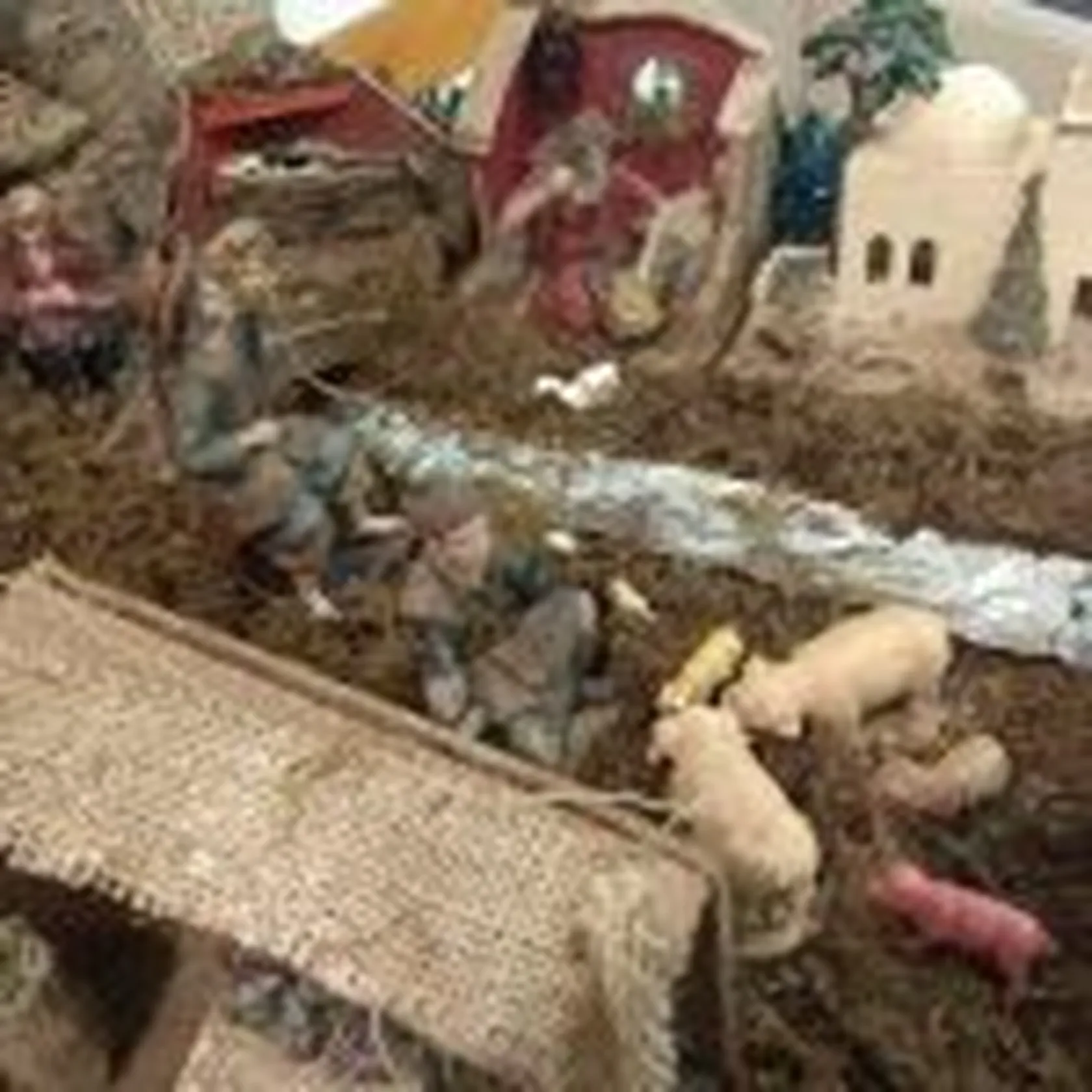 belen-2-150x150.jpg