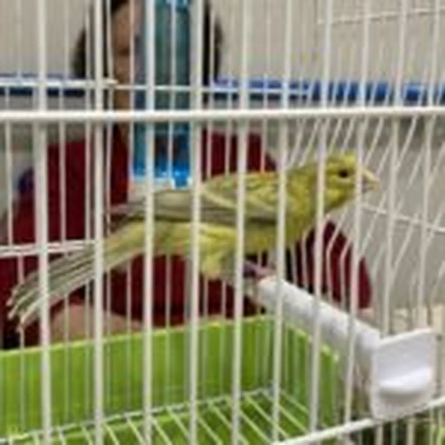IMG_0028-150x150.jpeg