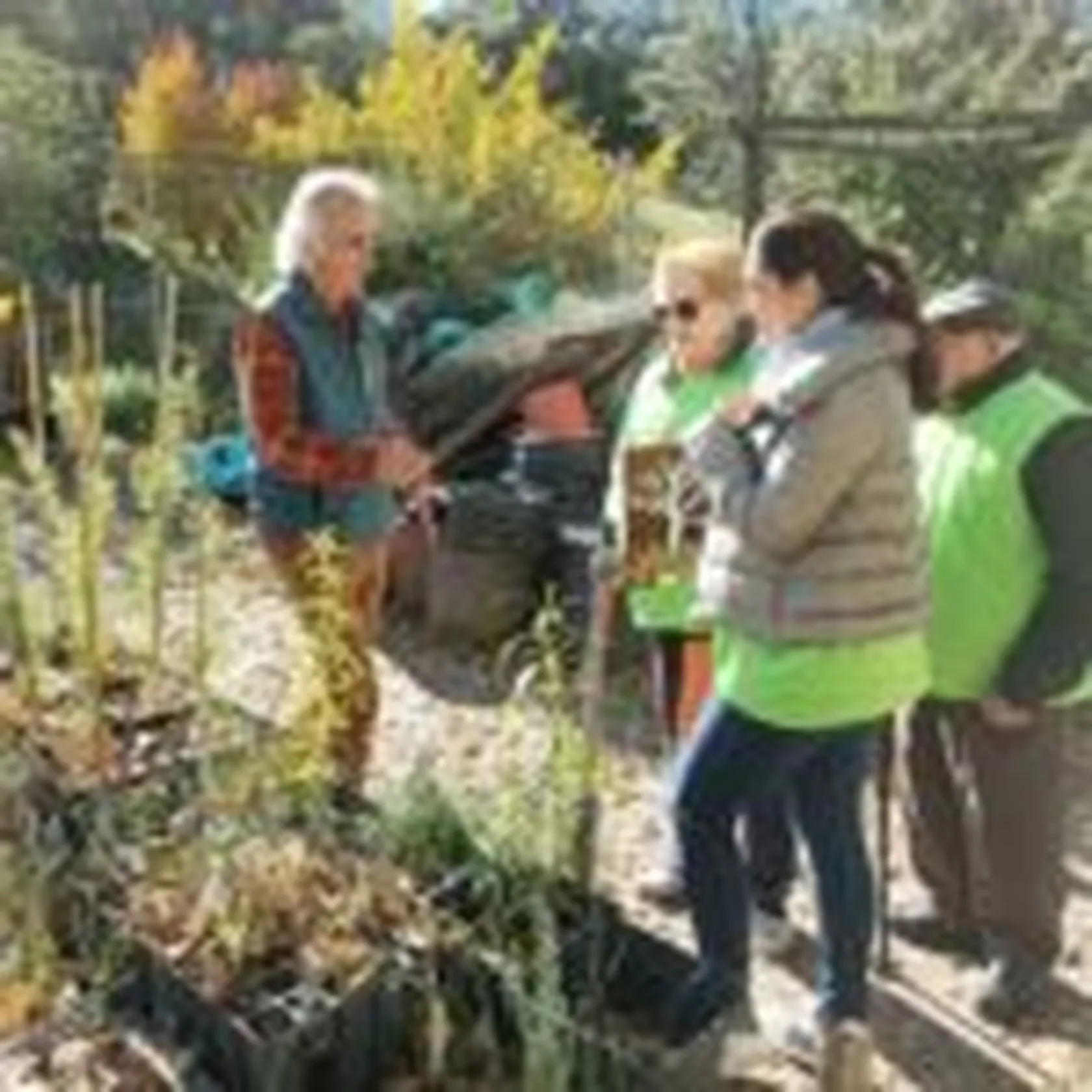 DomusVi-Tres-Cantos-plantacion-bosque-fnac-1-150x150.jpg
