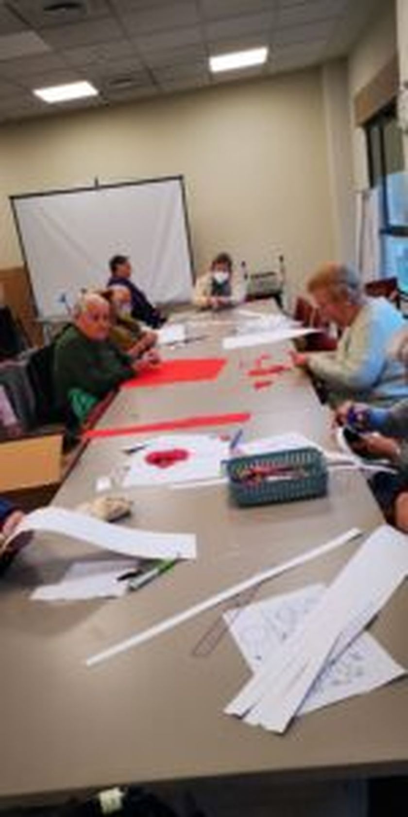 IMG_20230213_175556-150x300.jpg