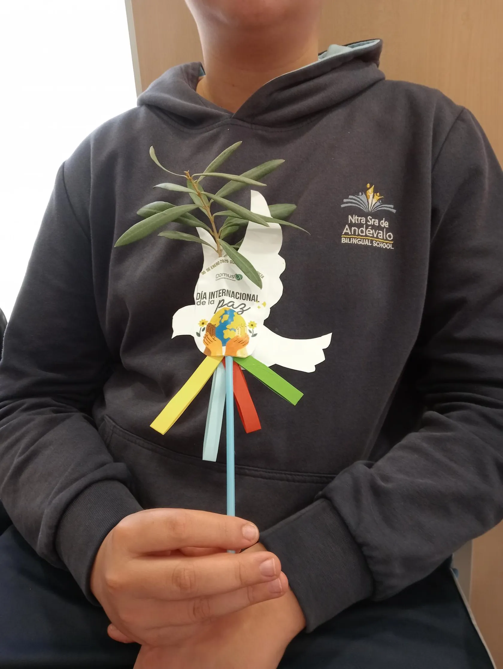 31151645-5b36-4637-8f87-a3d0c574c336.jpg