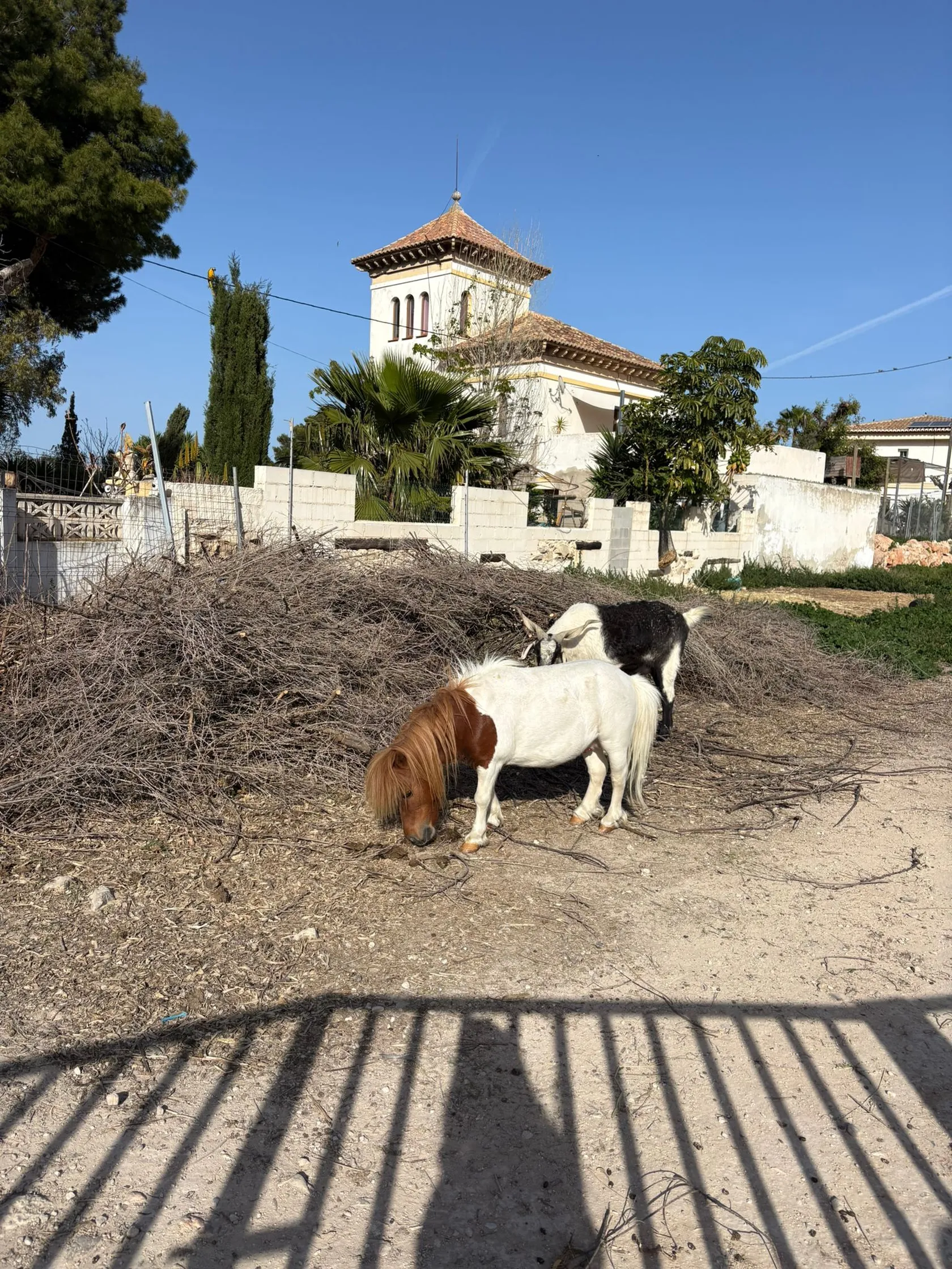 a00116ad-5bf1-4111-b4f1-c965eb229b54.jpg