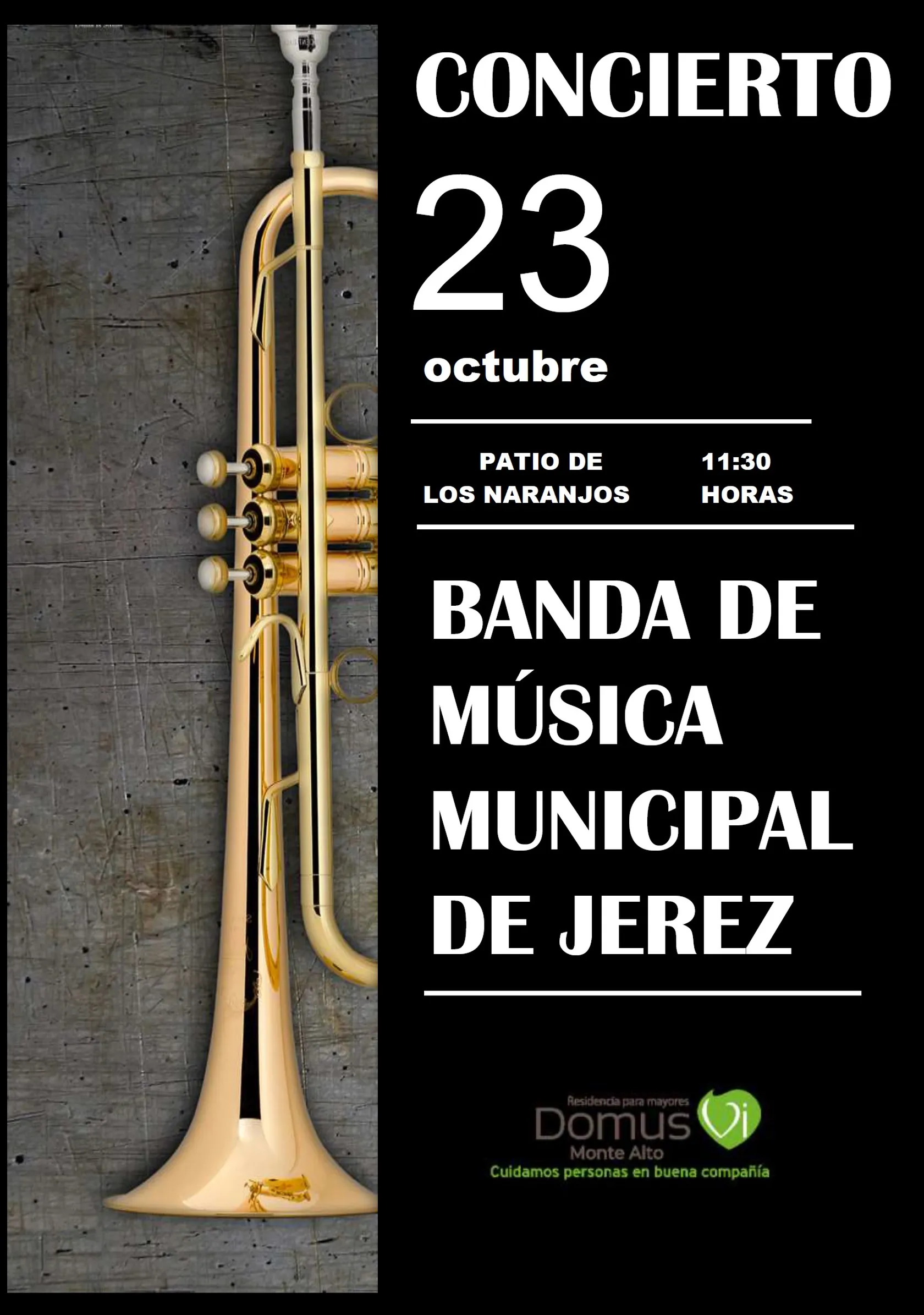 posters-concierto-banda.jpg