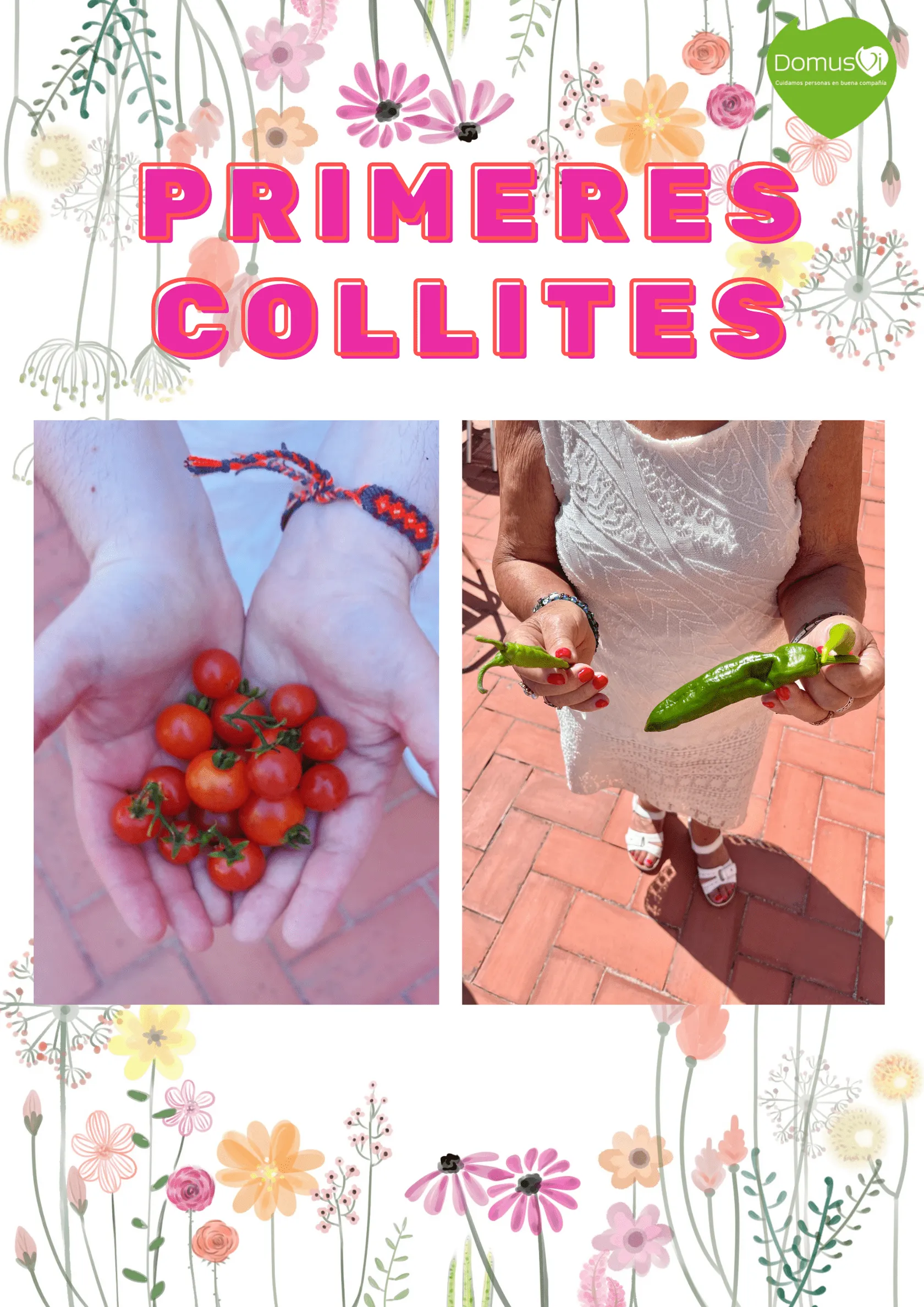 cartellprimerescollites-min.png