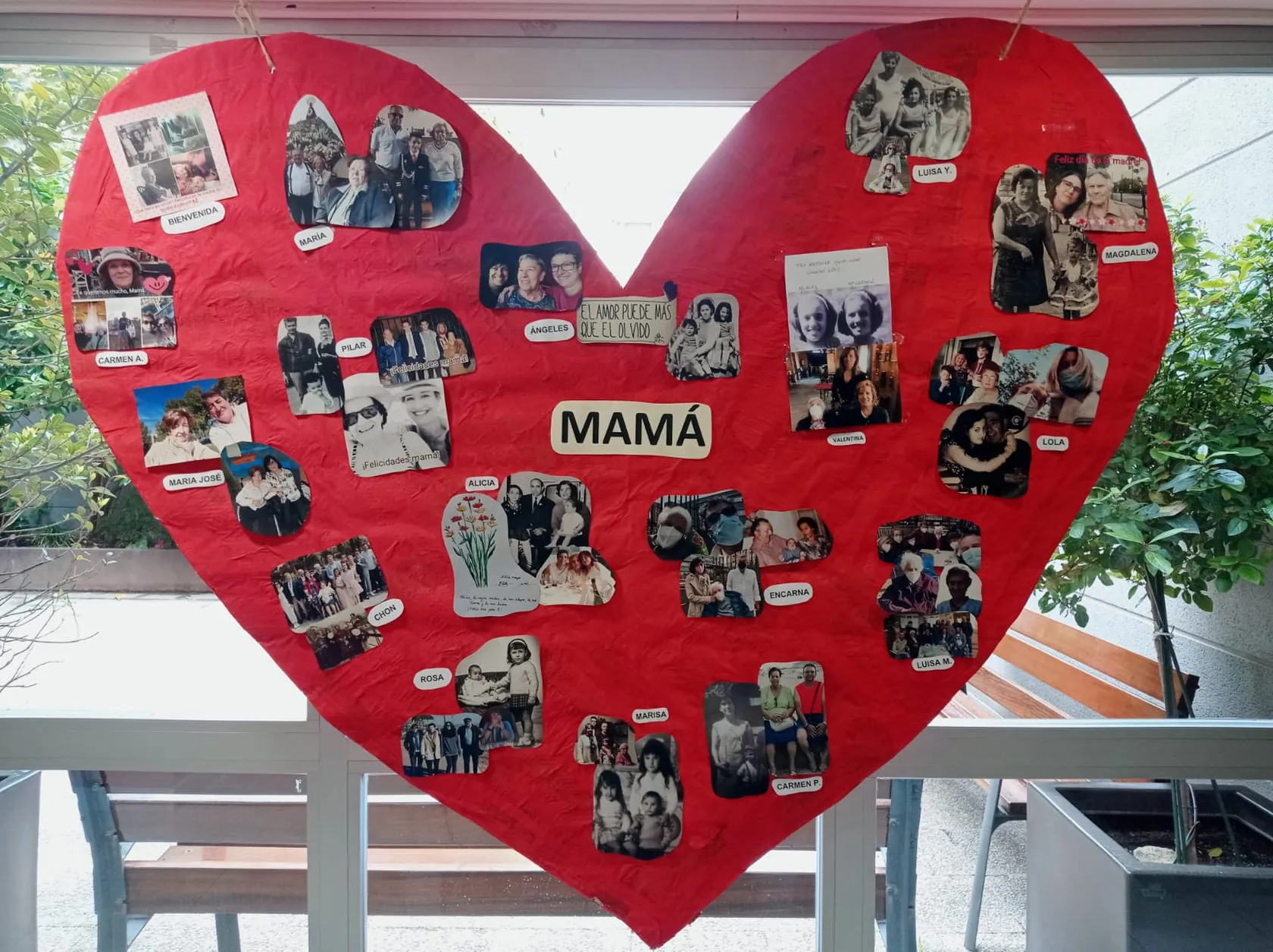 Collage-corazon-min.jpg