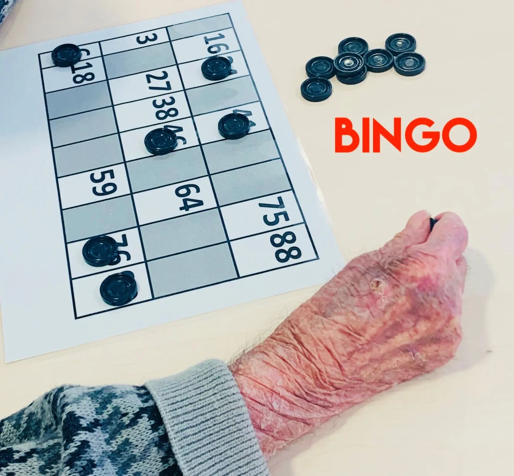 Bingo-en-Santa-Ana_Portada.jpg