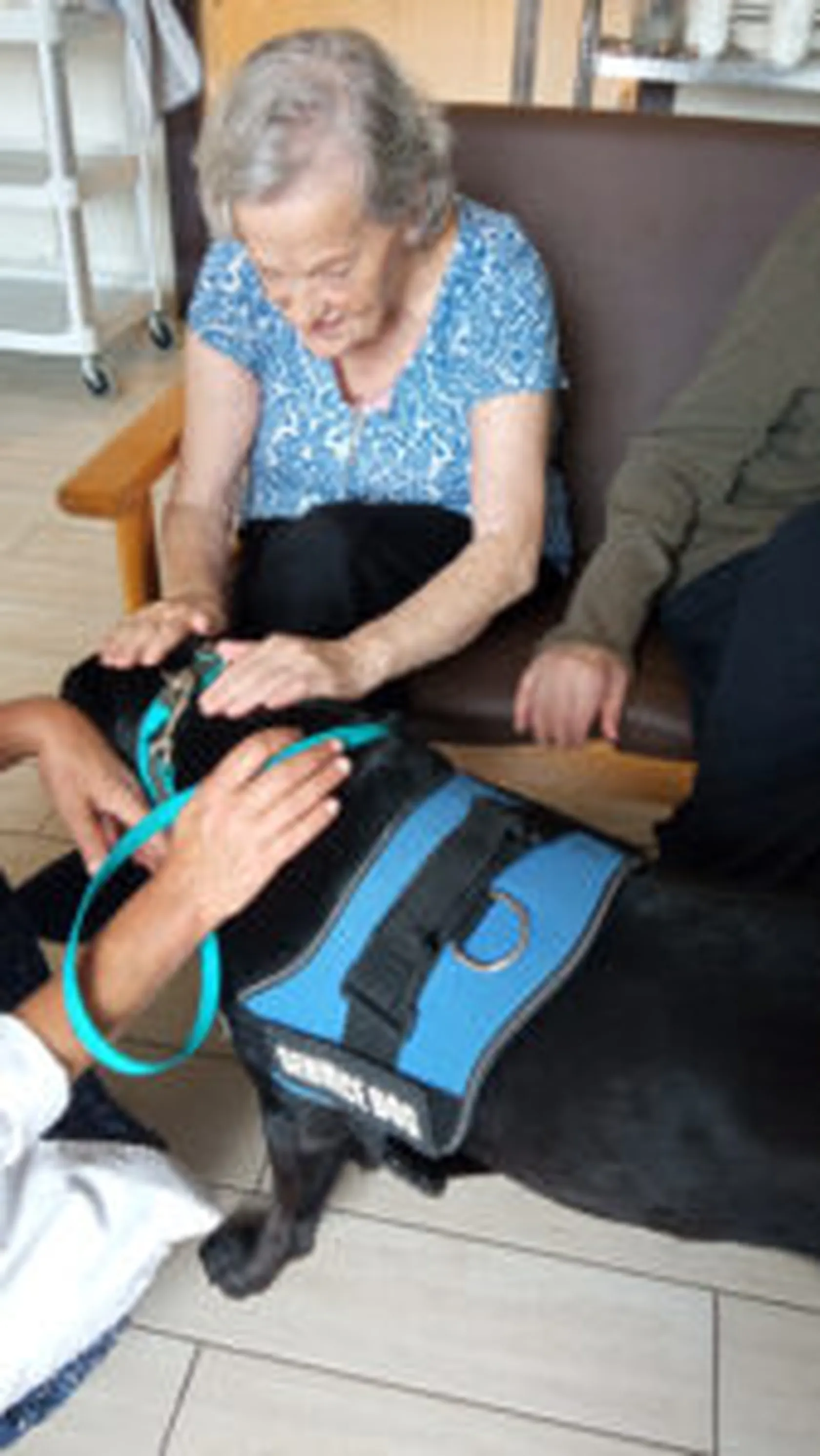 TERAPIA-CANINA-2-169x300.jpg