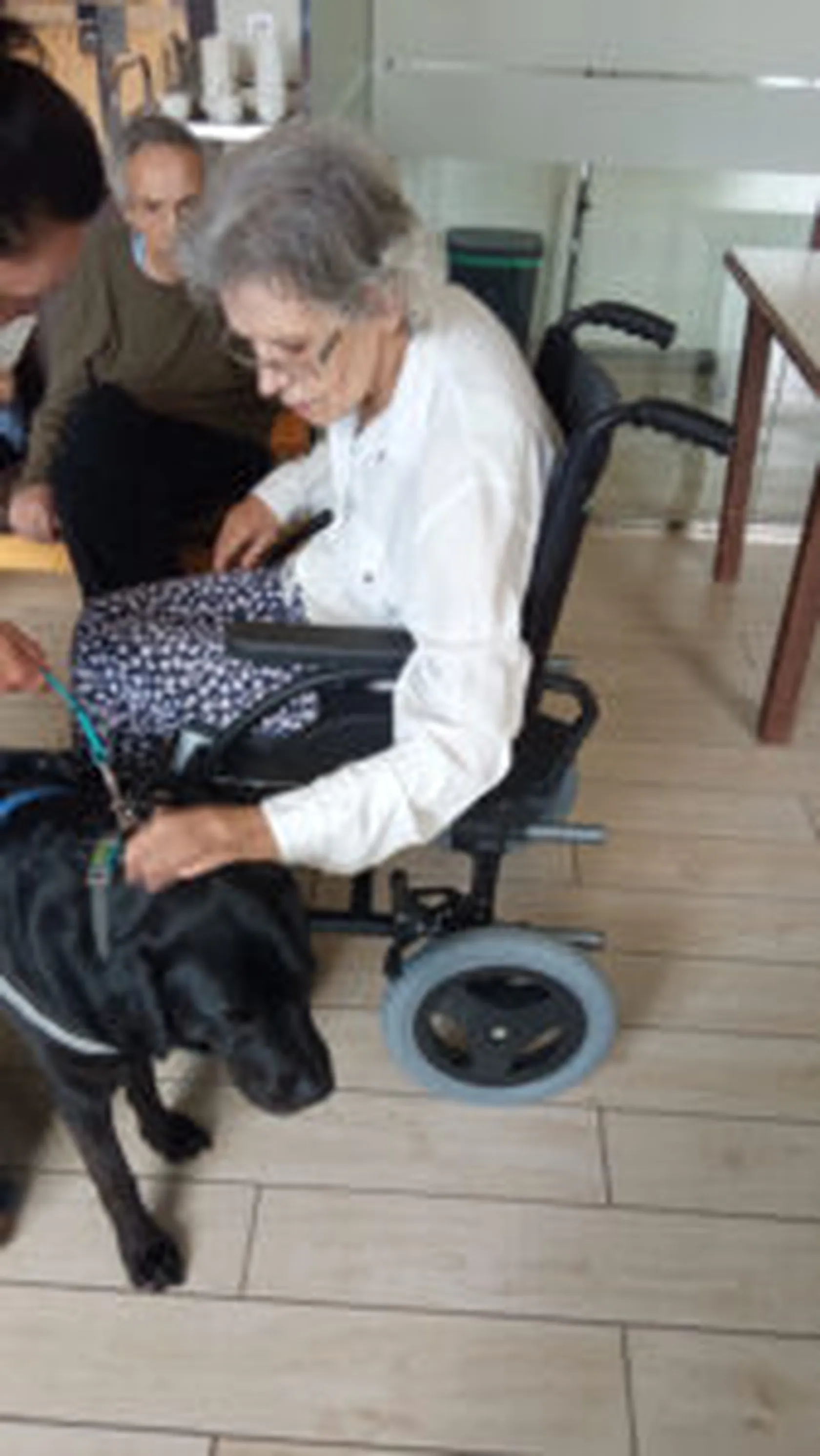 TERAPIA-CANINA-1-169x300.jpg