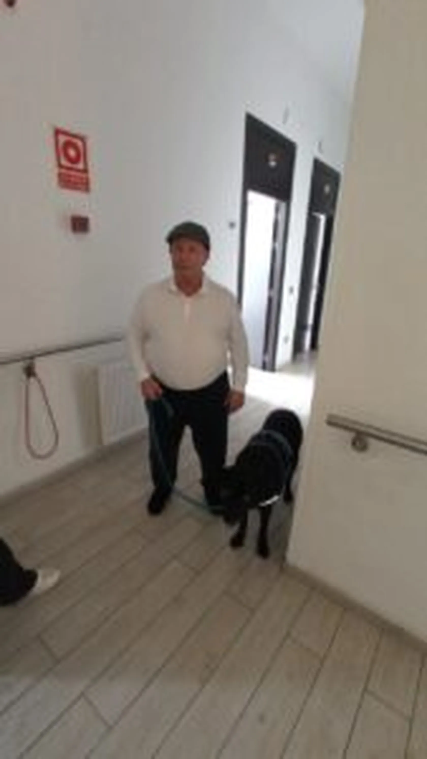 terapia-canina-arsenio-169x300.jpg