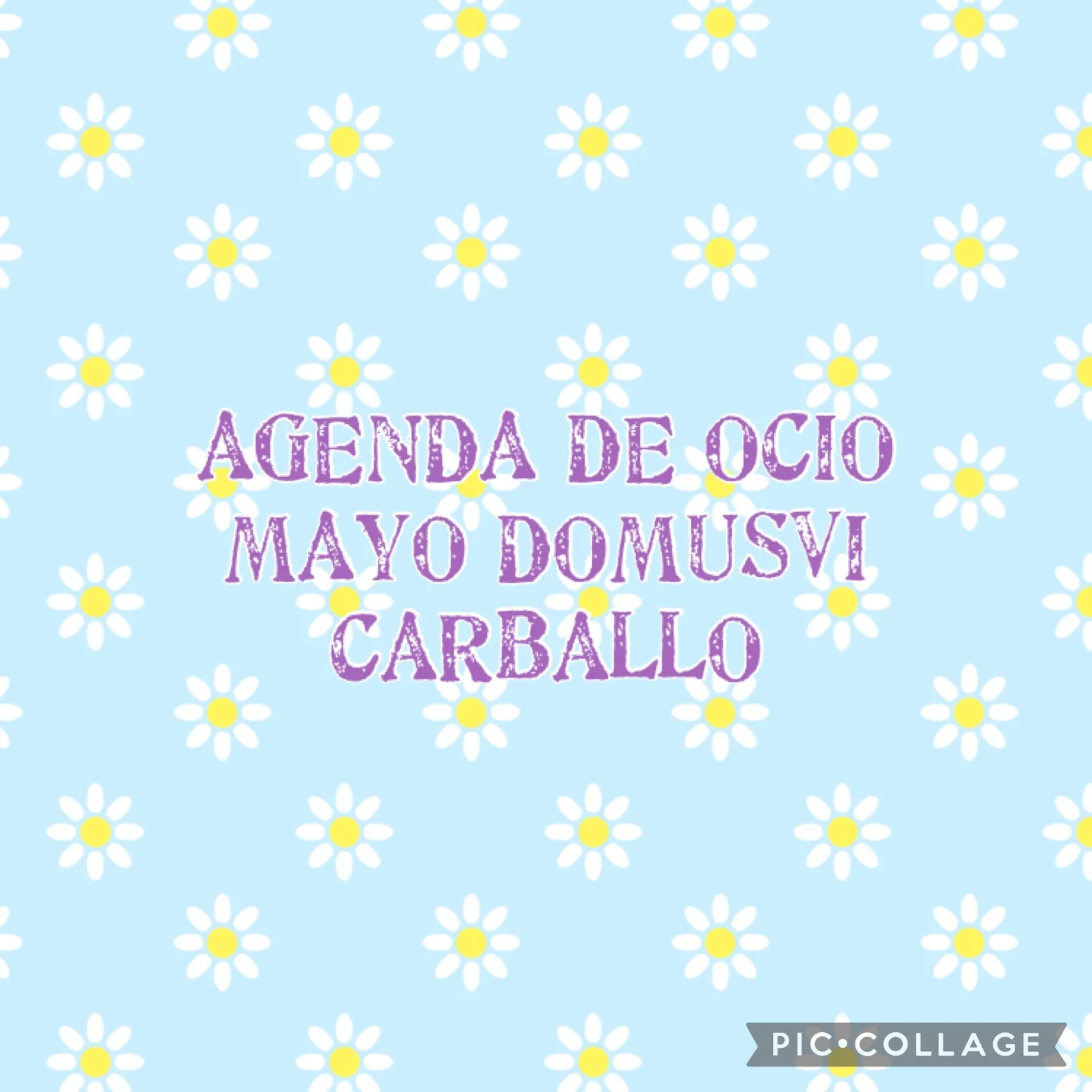26042024131641SSSmayo.jpg