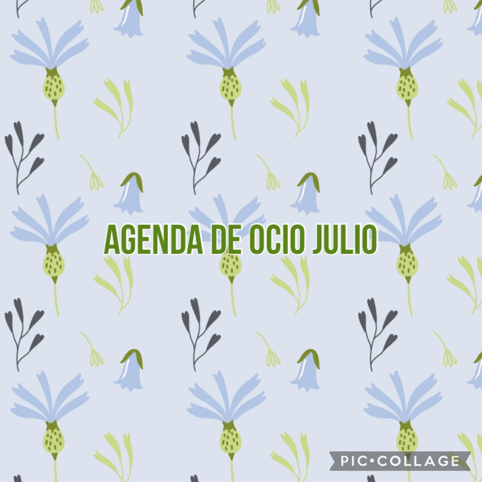 6b648e4e-ddc0-4b89-8201-f22a1b862aea.jpg