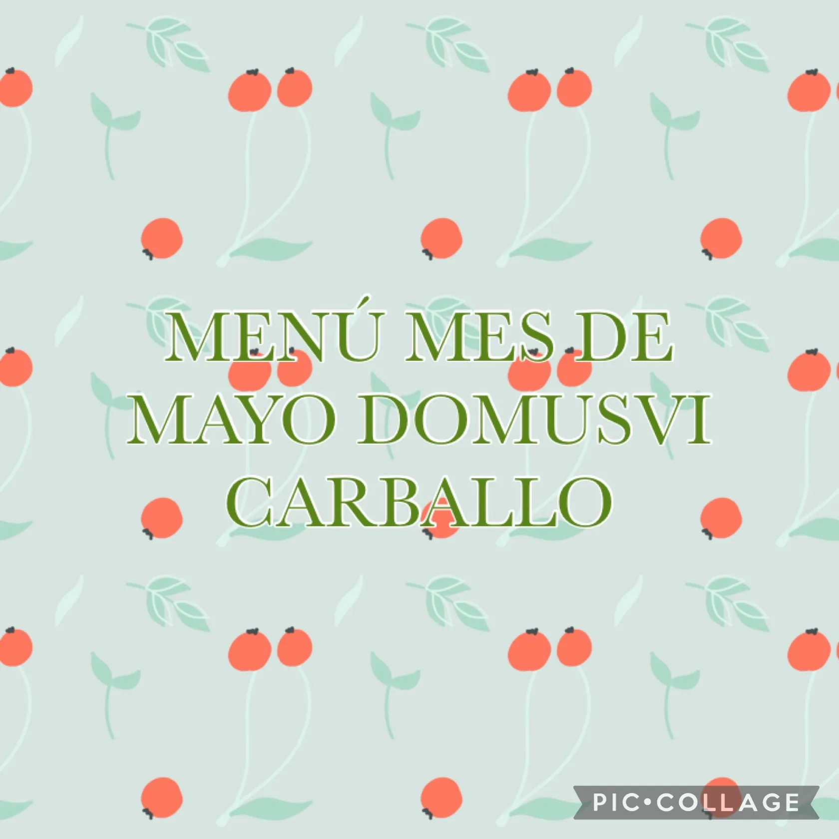 29042024140817SSSmenu.jpg