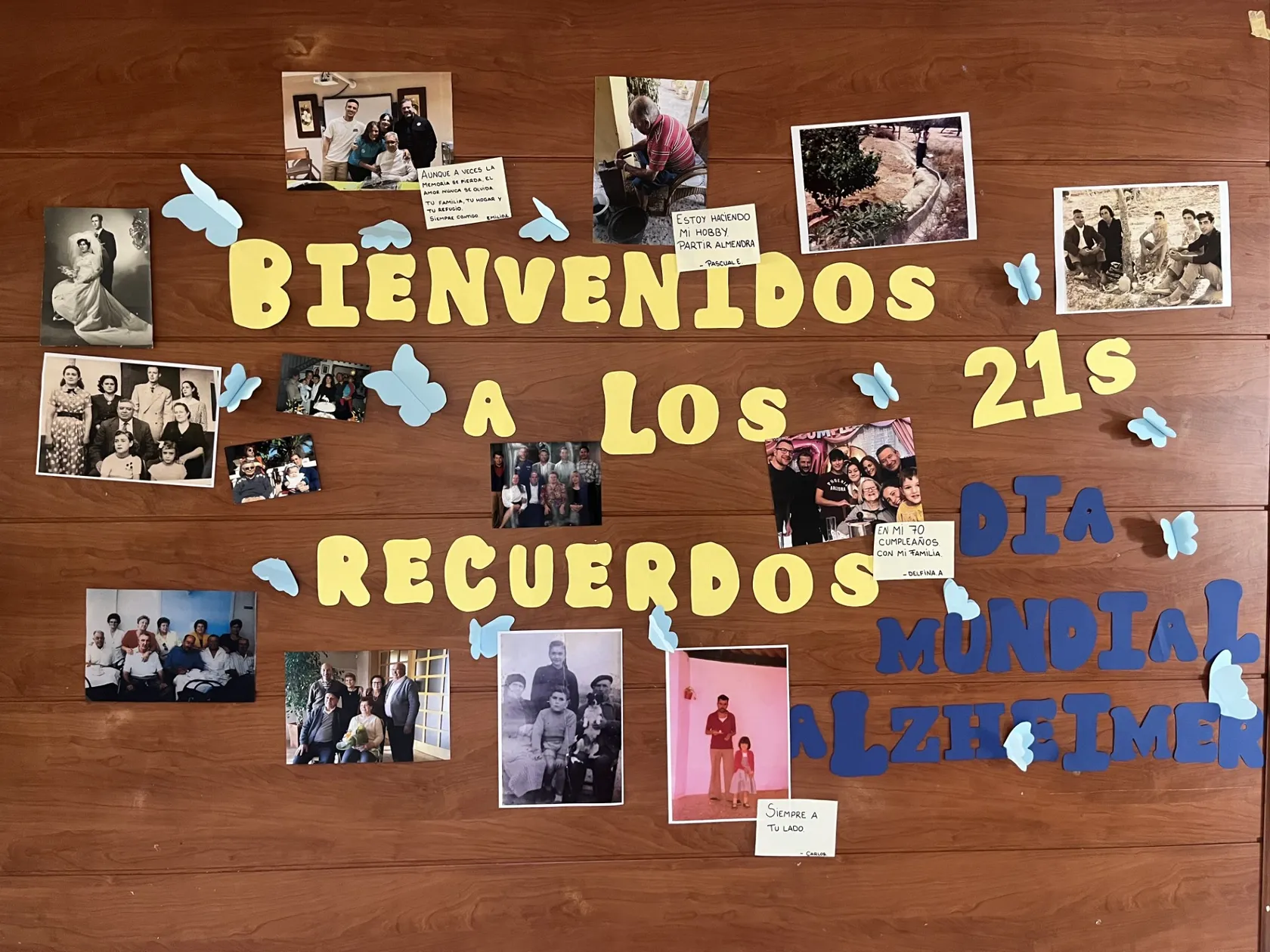 26b91216-f765-4d71-96af-5aa1cd29f850.jpg