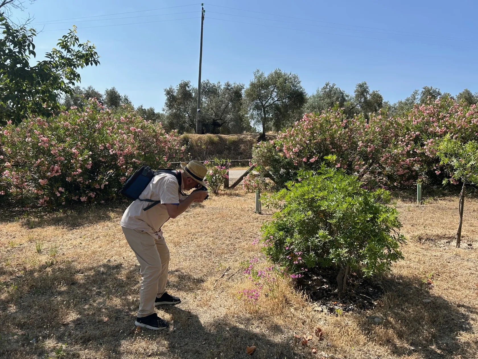 9d827144-7e79-4b07-b6ff-c5d1664aa512.jpg