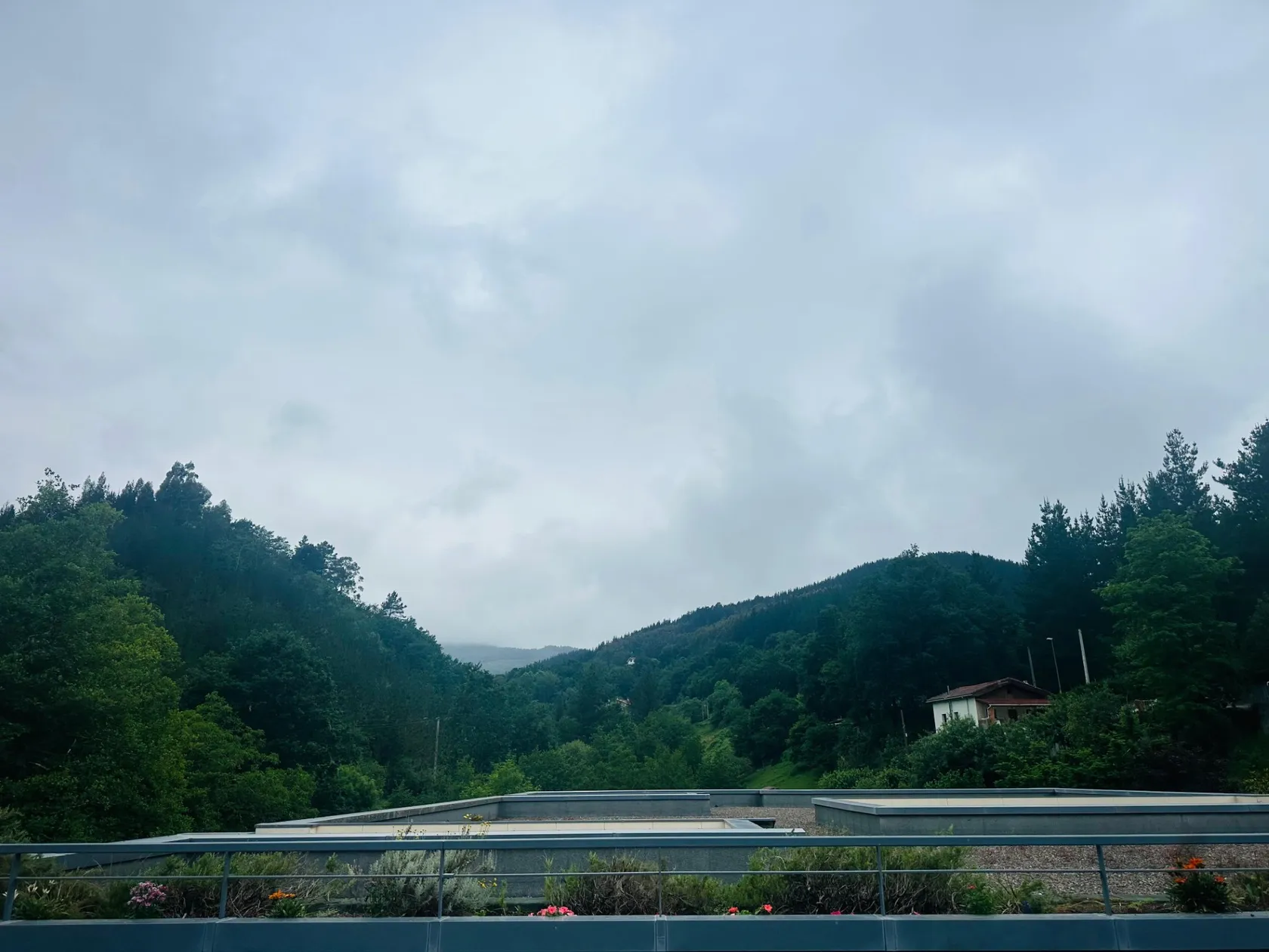 d7b1a4e1-3282-4f91-a0e5-ab7bc89f9ad9.jpg