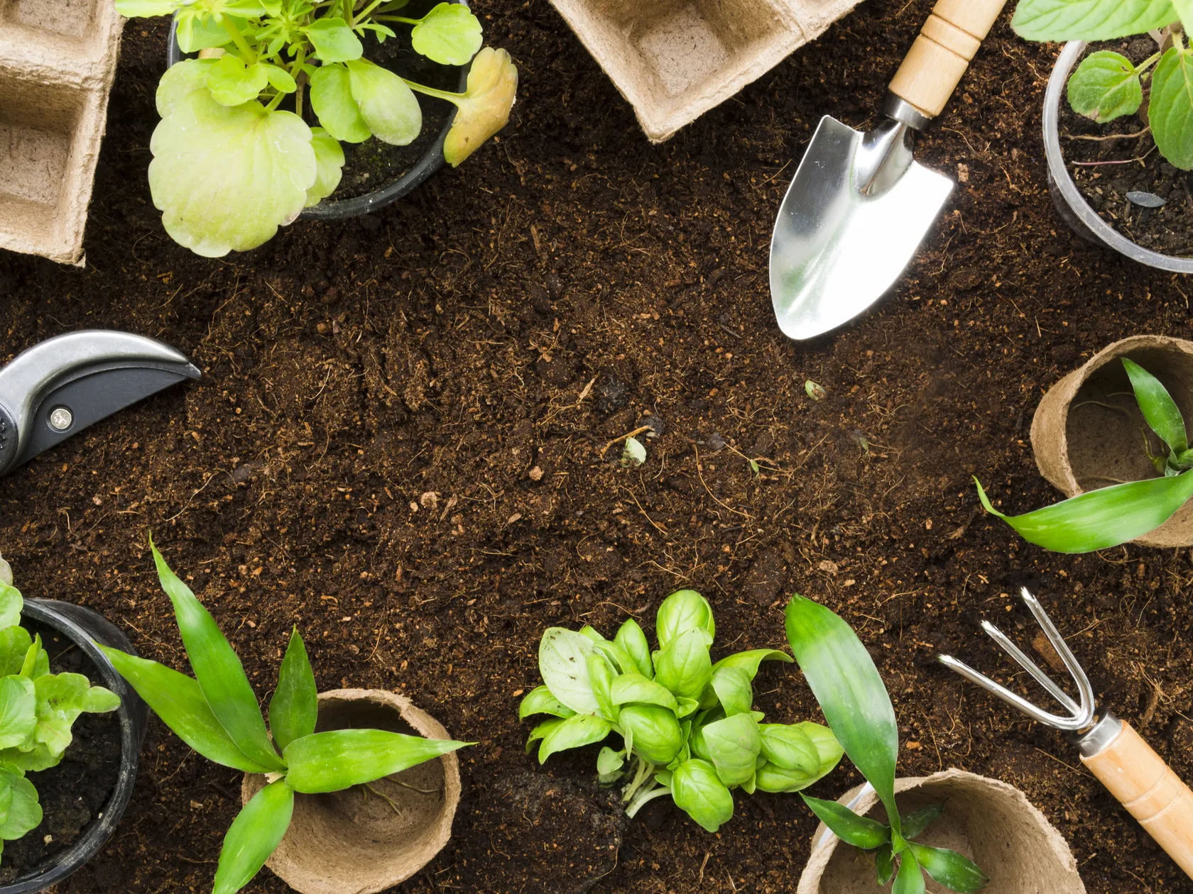 asesoramiento-en-jardineria-1.jpg