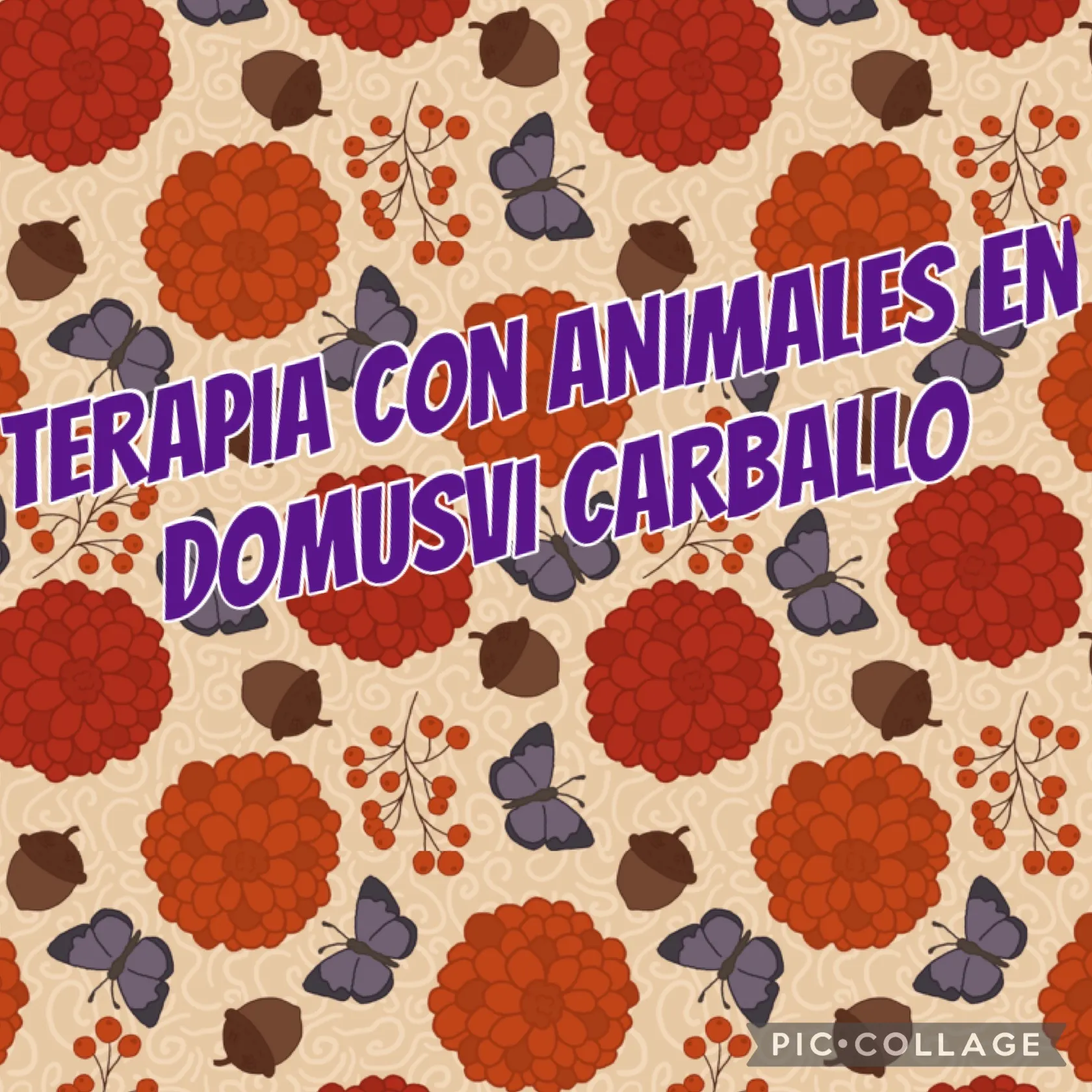 ca410d46-de27-48e2-b7fc-e83b4f034754.jpg