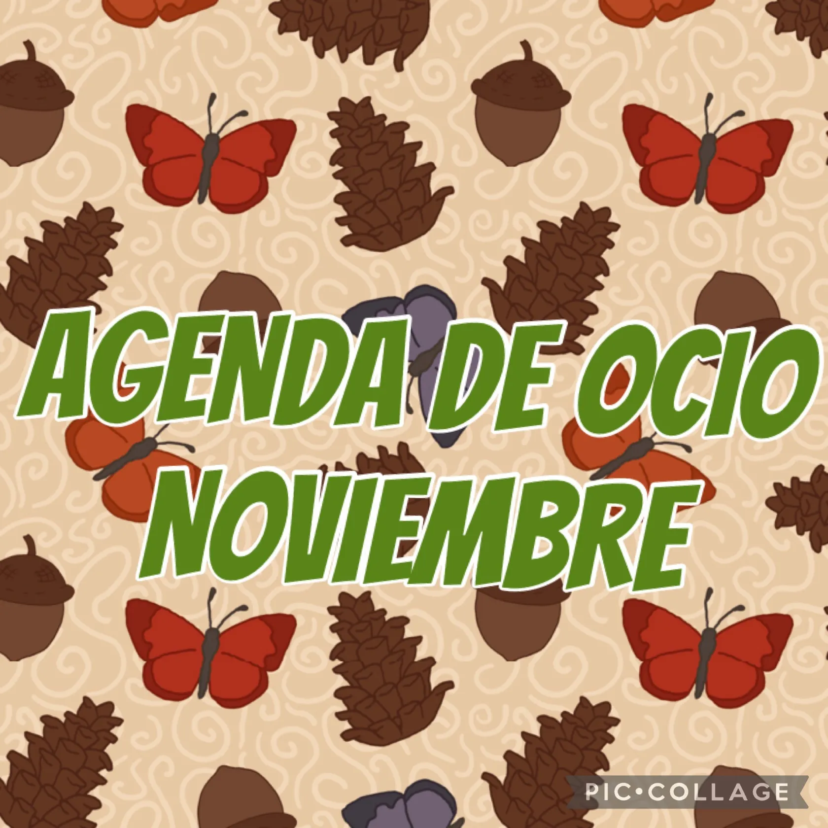 b1da0efe-4e93-4659-a9c3-6ea8800a5c22.jpg