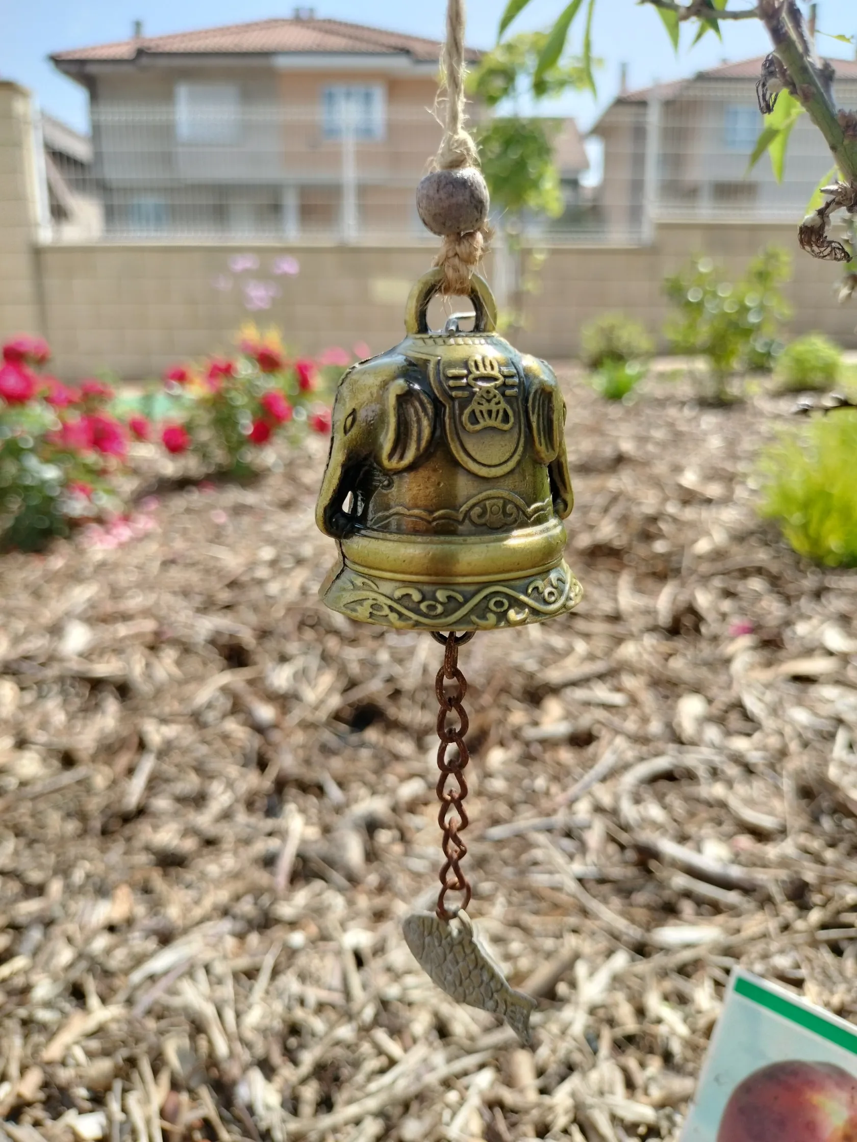db692601-3f69-457f-b28a-0a504aac44bc.jpg