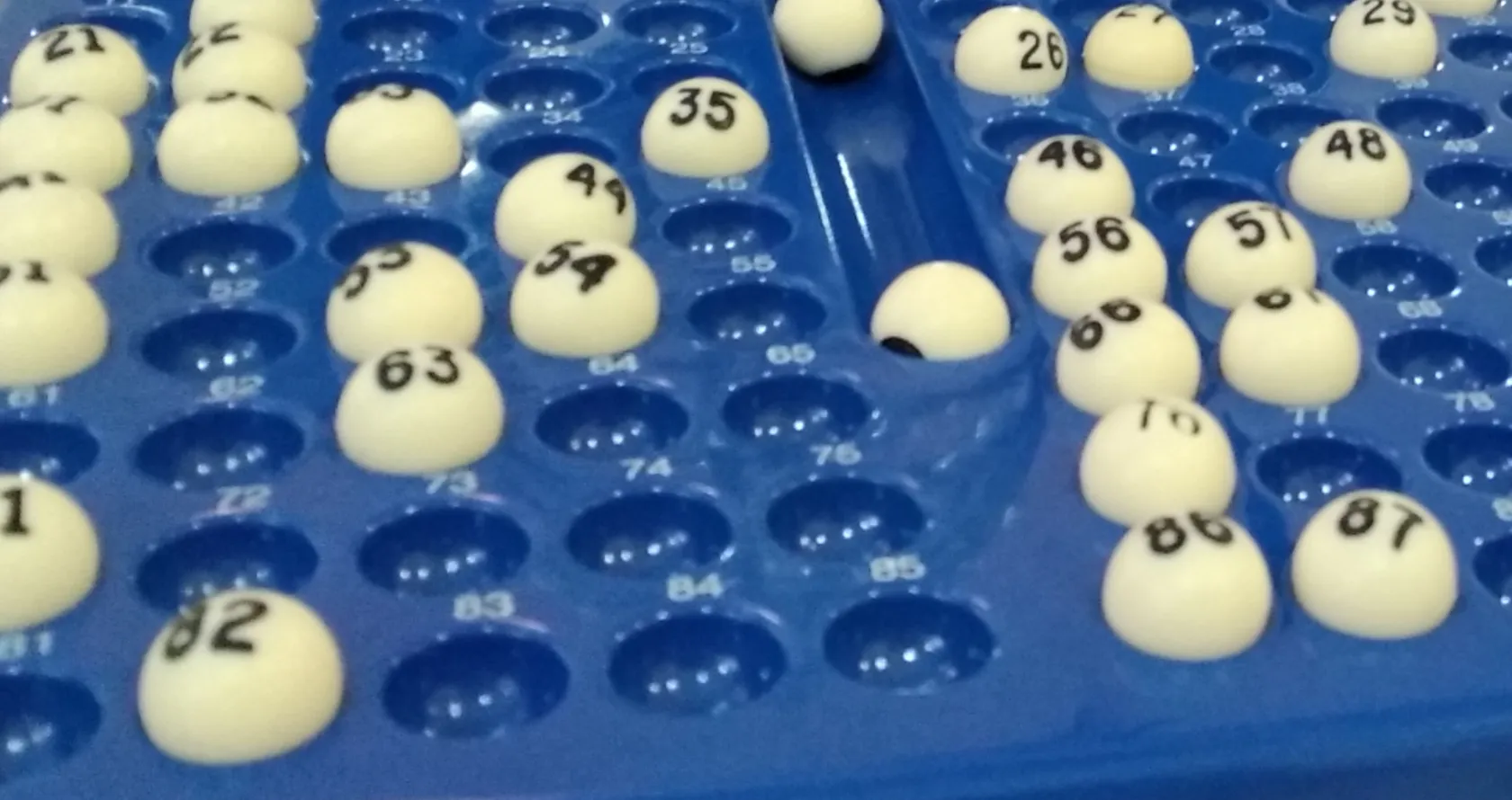 PORTADA-AZALEA.png