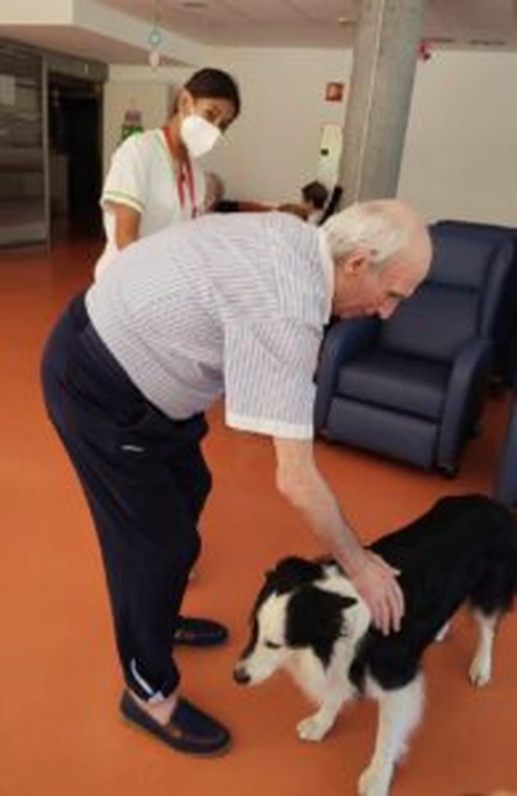 terapia-perro20-195x300.jpg