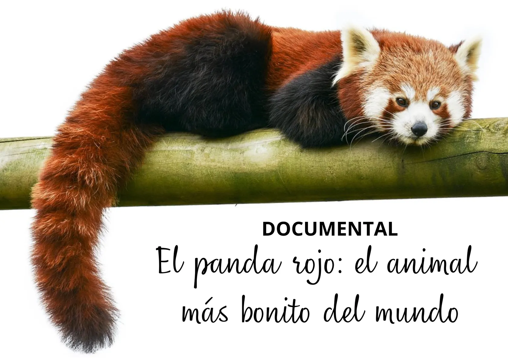 5de923f9-7c3b-4a41-a435-71920832de3c.png