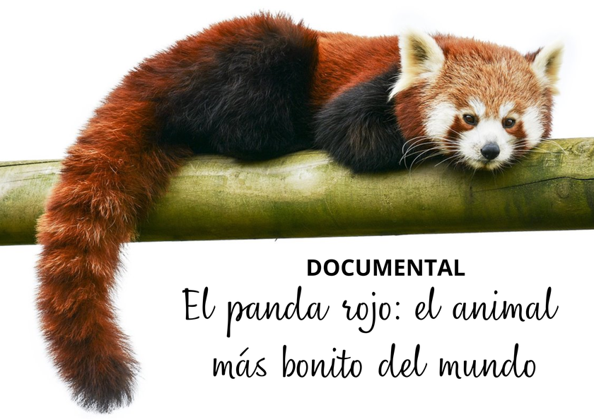 5de923f9-7c3b-4a41-a435-71920832de3c.png