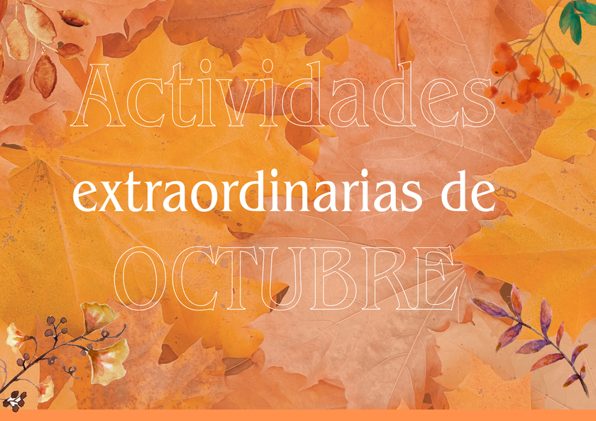 1c35c836-3d77-453b-9c54-1dbe78d8acfa.png